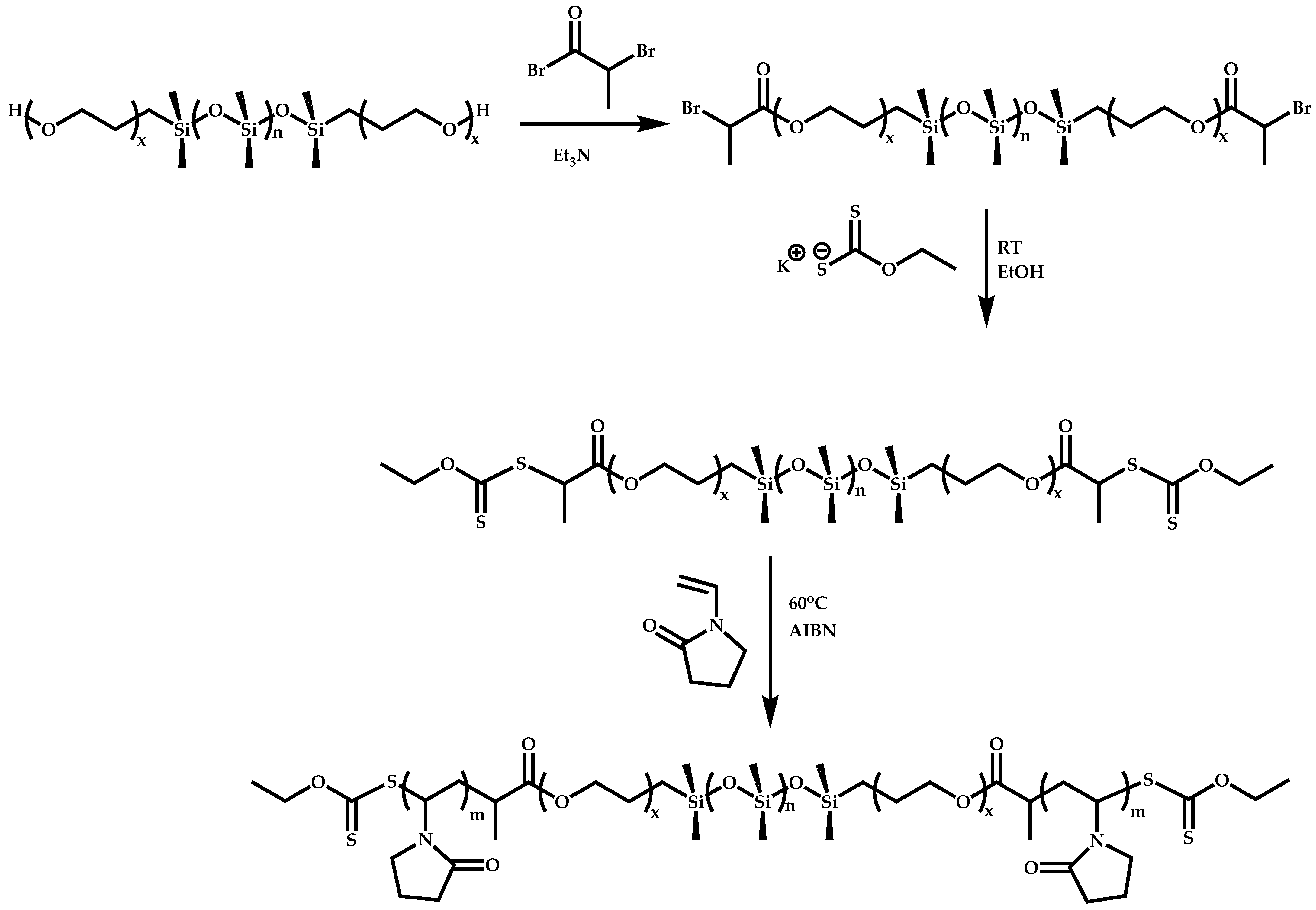 Polymers 14 00701 sch065