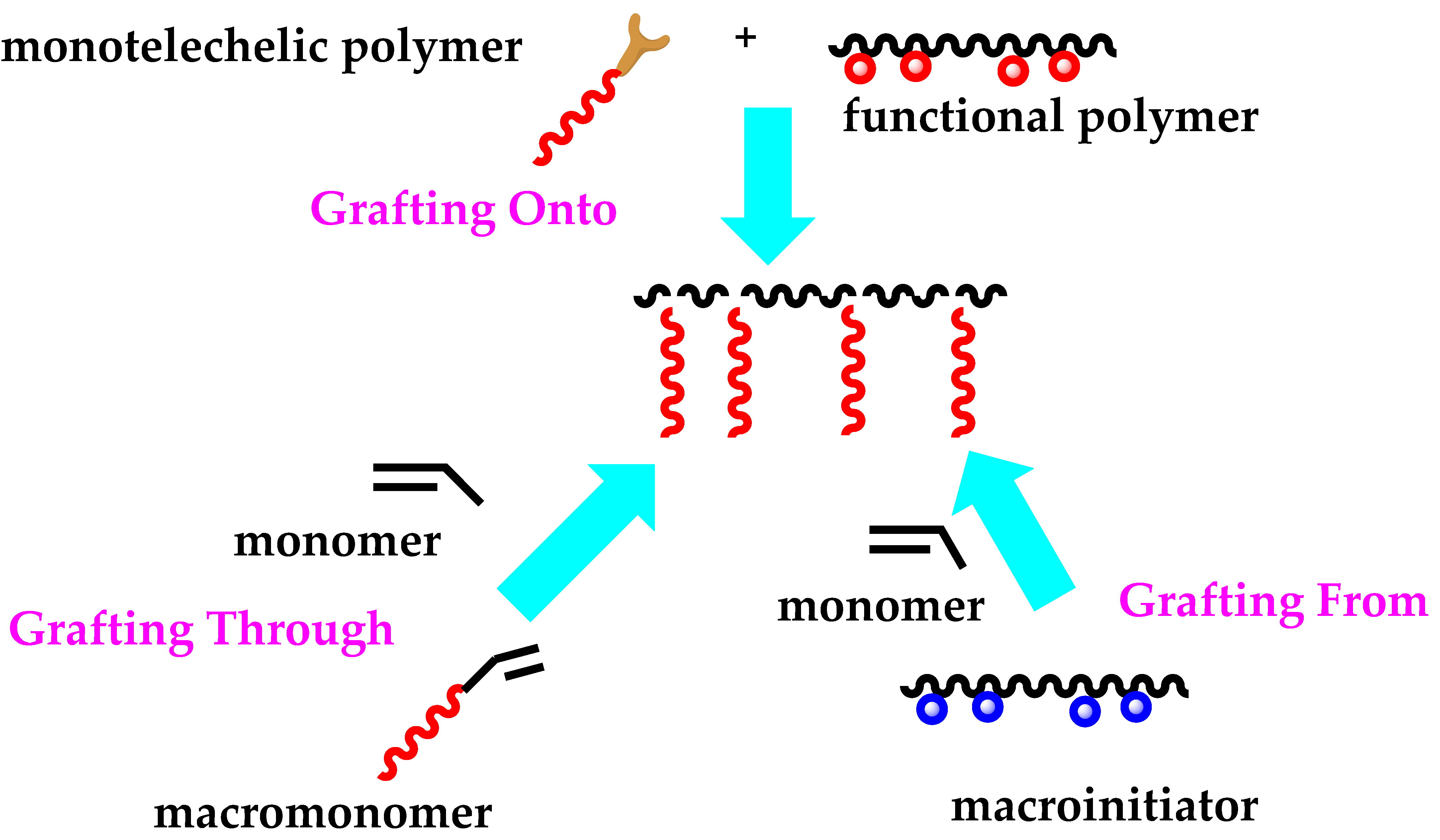 Polymers 14 00701 sch085