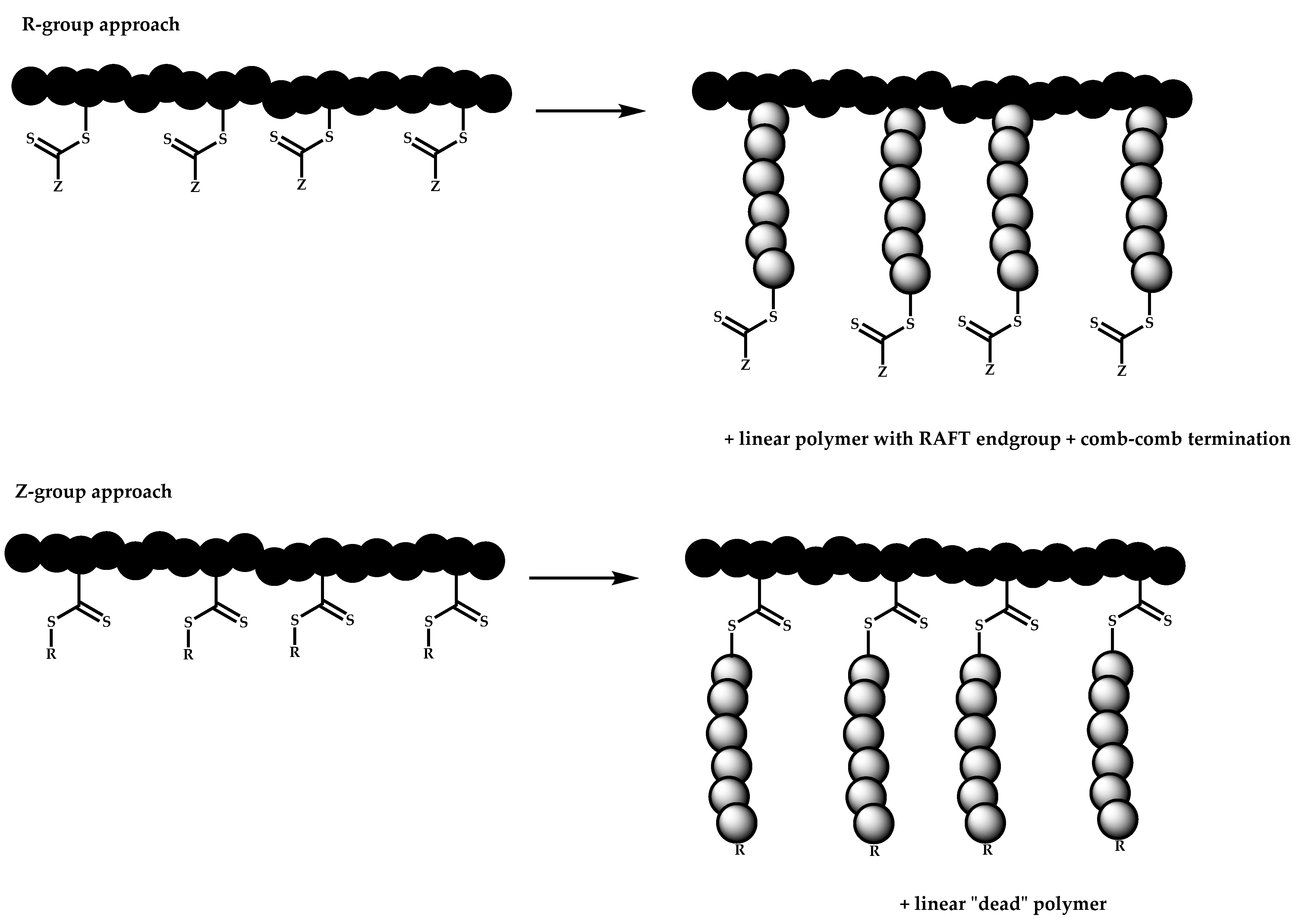 Polymers 14 00701 sch087