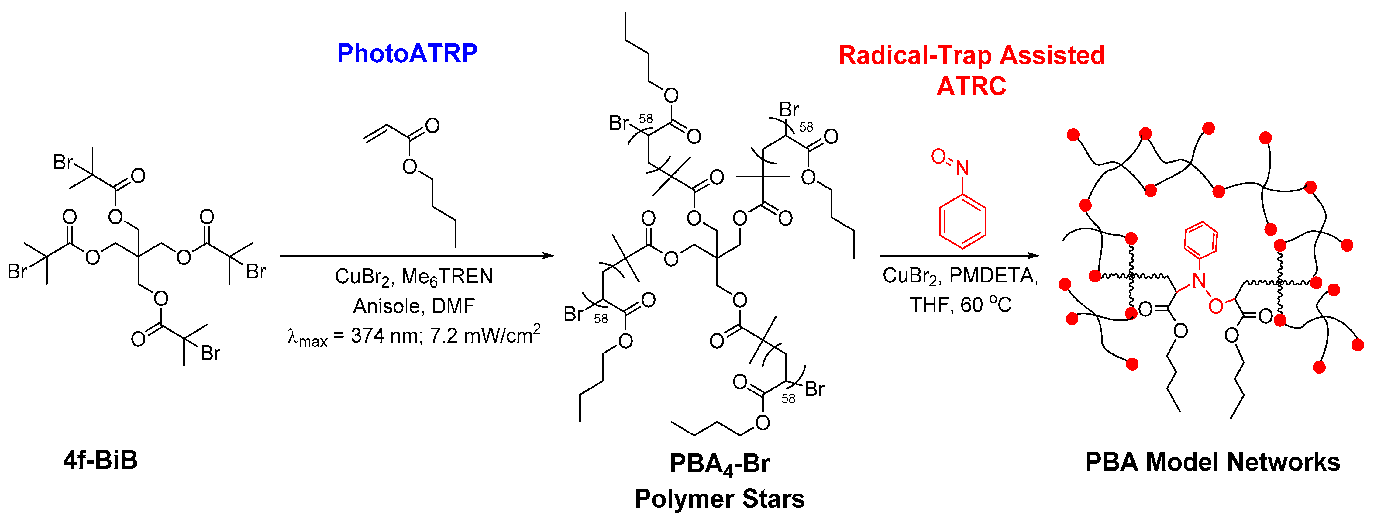 Polymers 14 00713 sch002