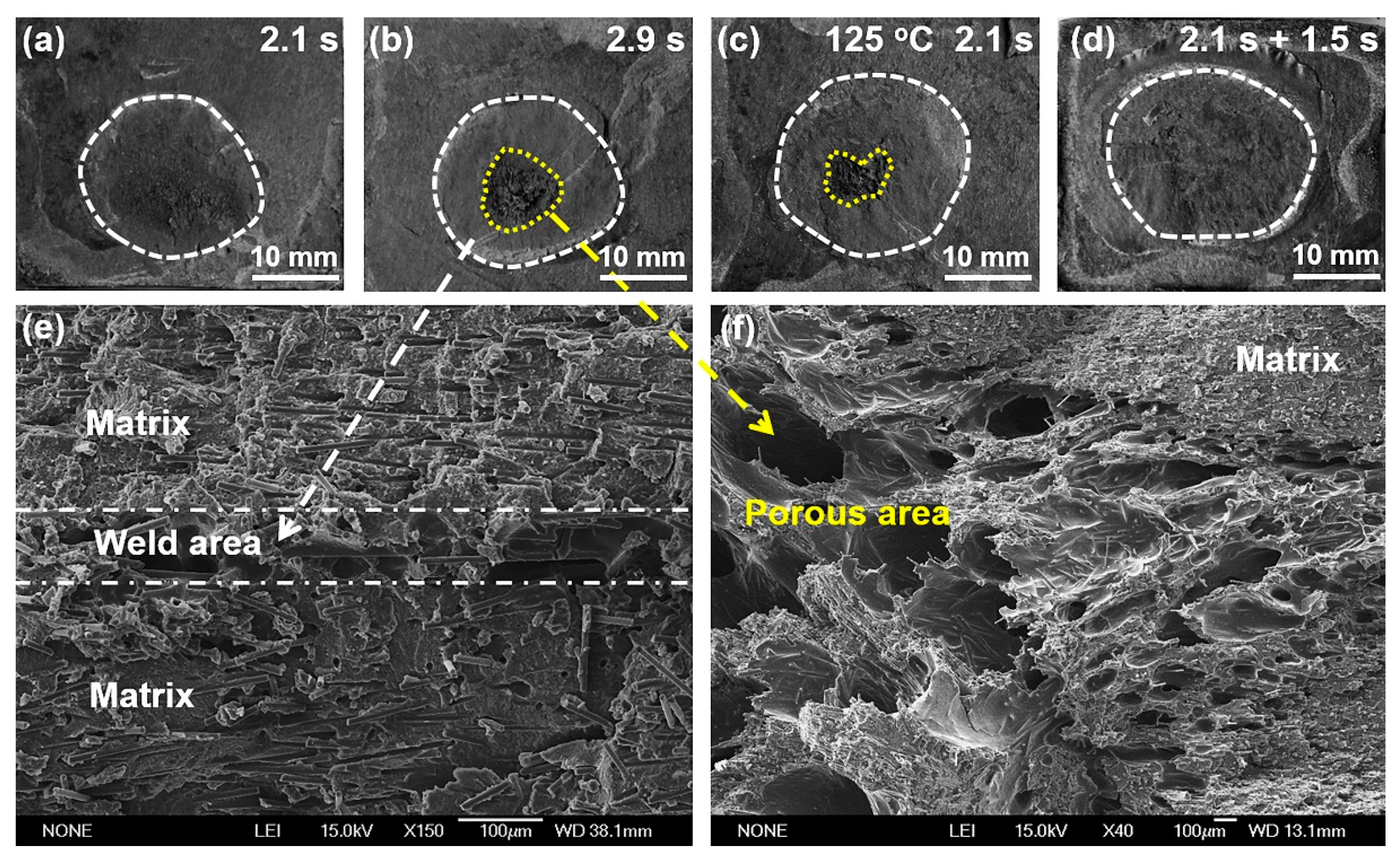 Polymers 14 00714 g007