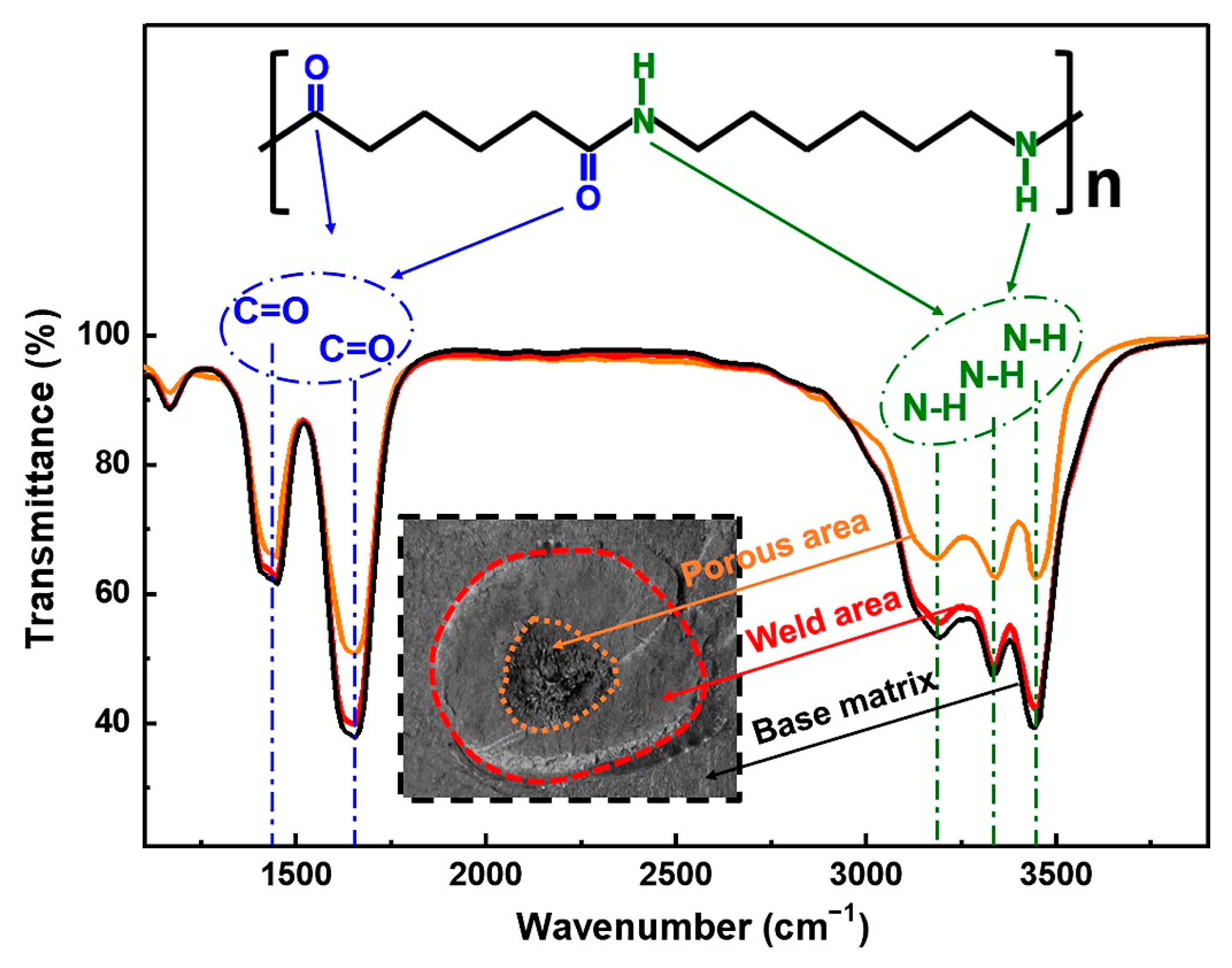 Polymers 14 00714 g008