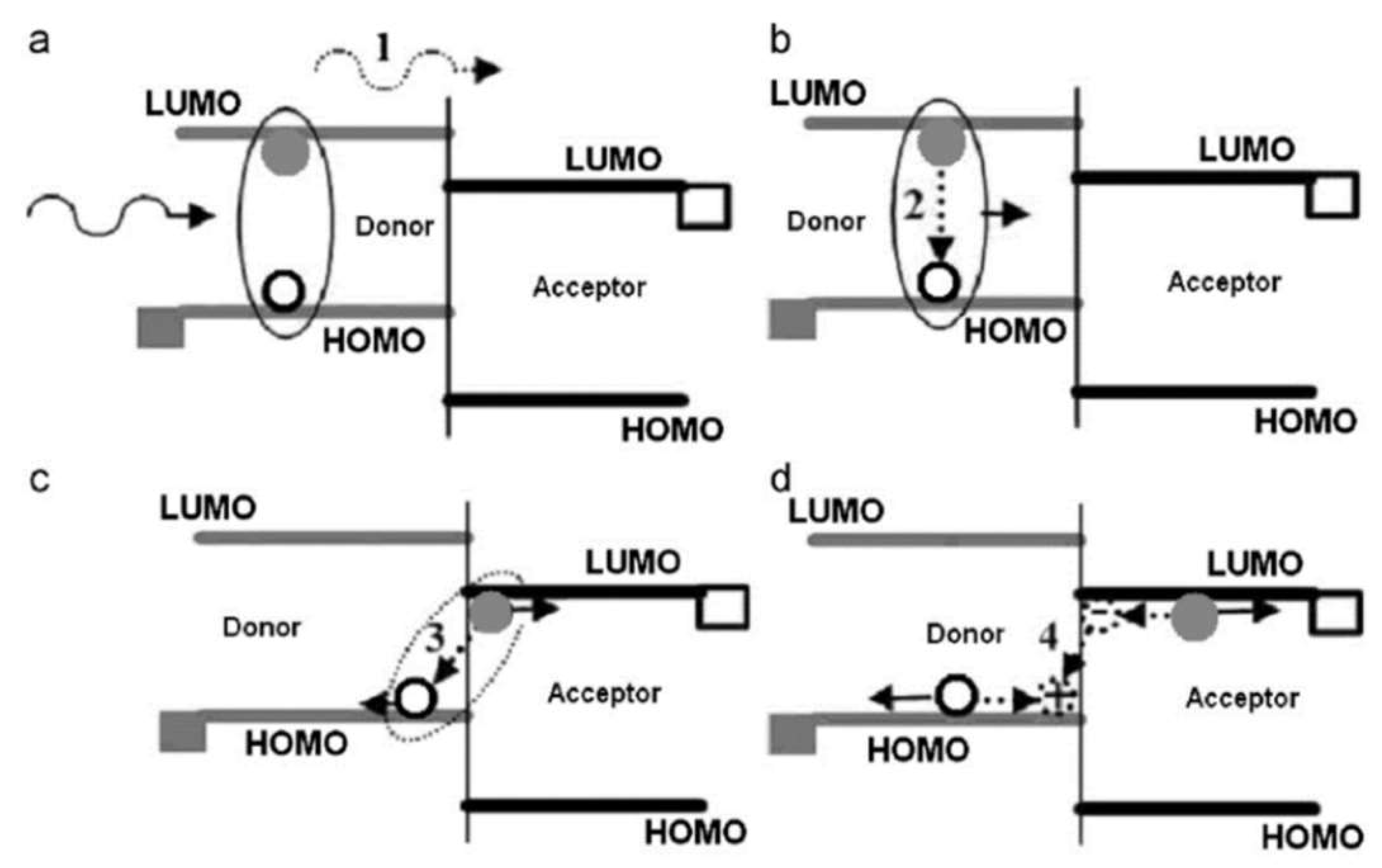 Polymers 14 00716 g002