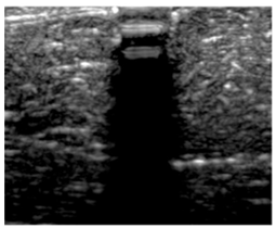 Polymers 14 00722 i015