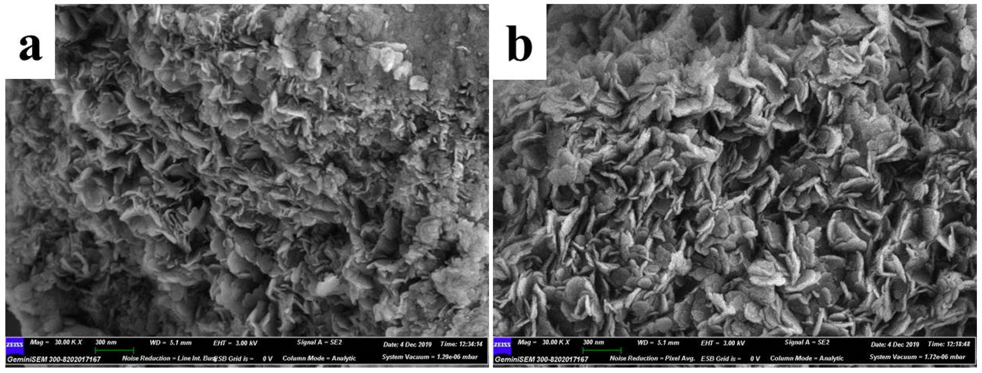 Polymers 14 00725 g003