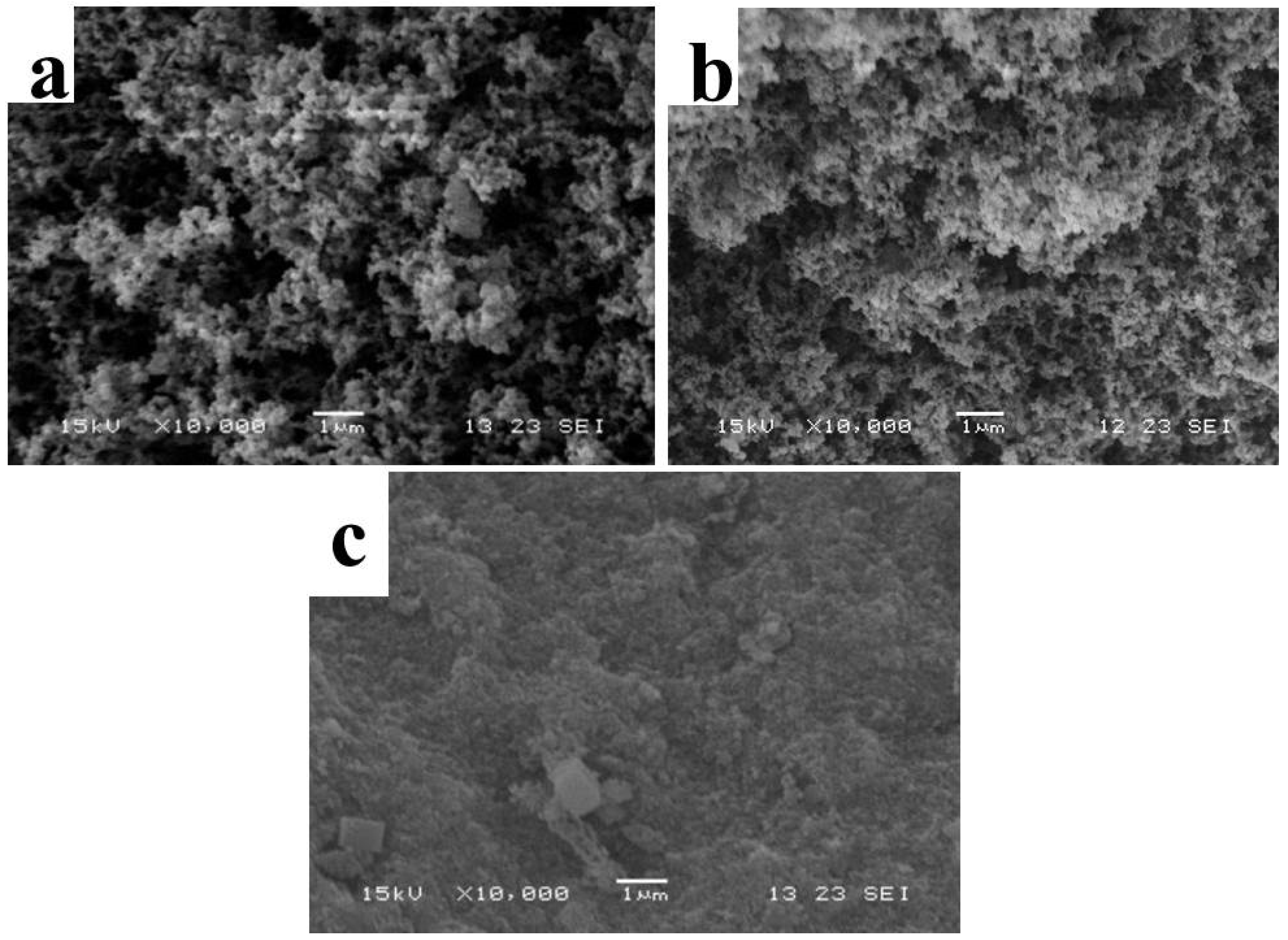 Polymers 14 00725 g006