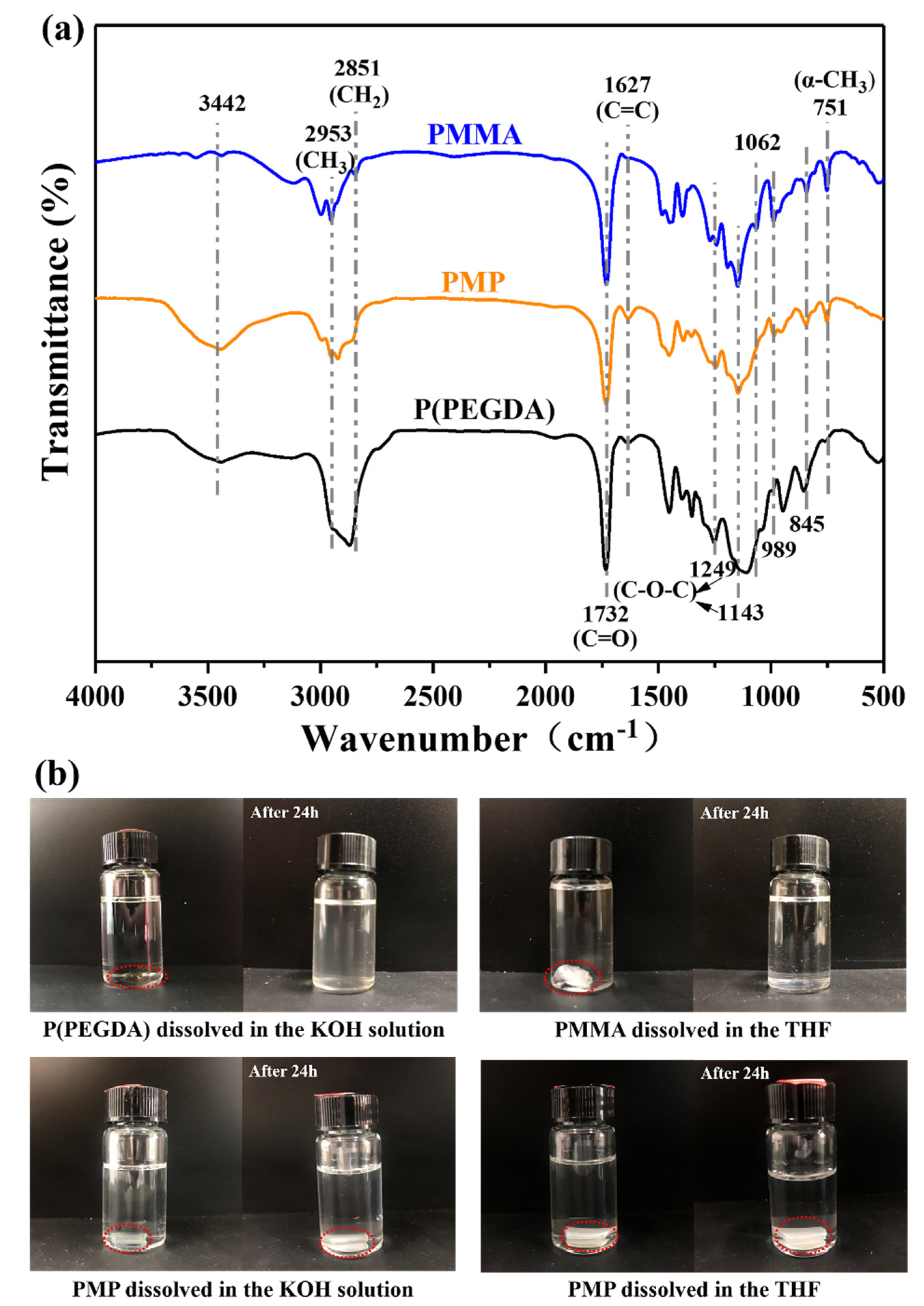 Polymers 14 00738 g002