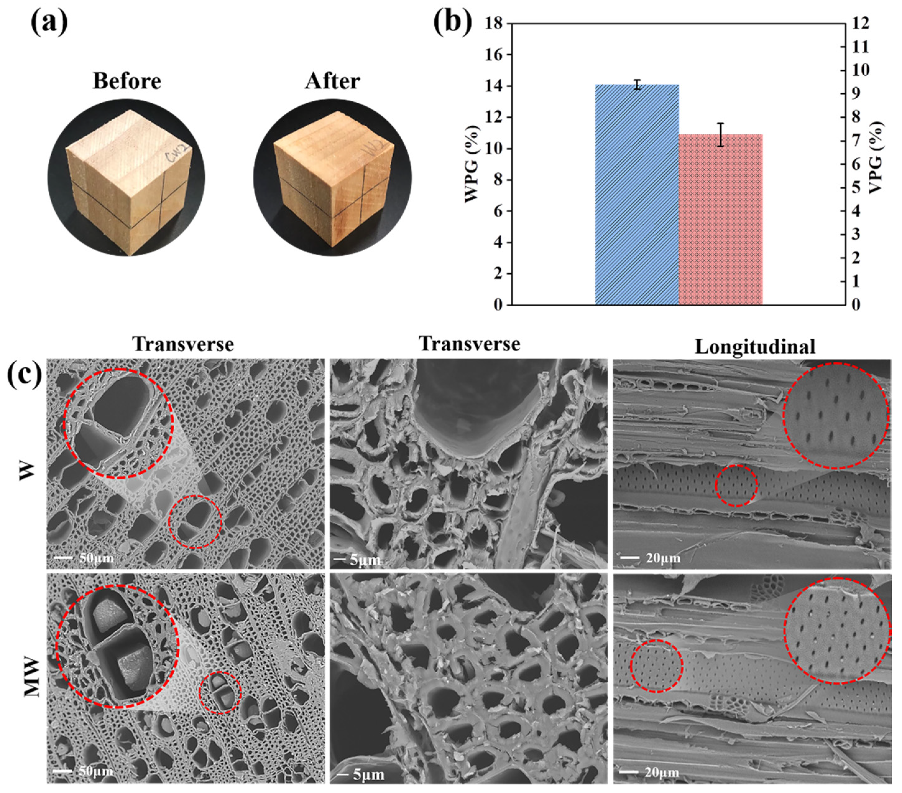Polymers 14 00738 g004
