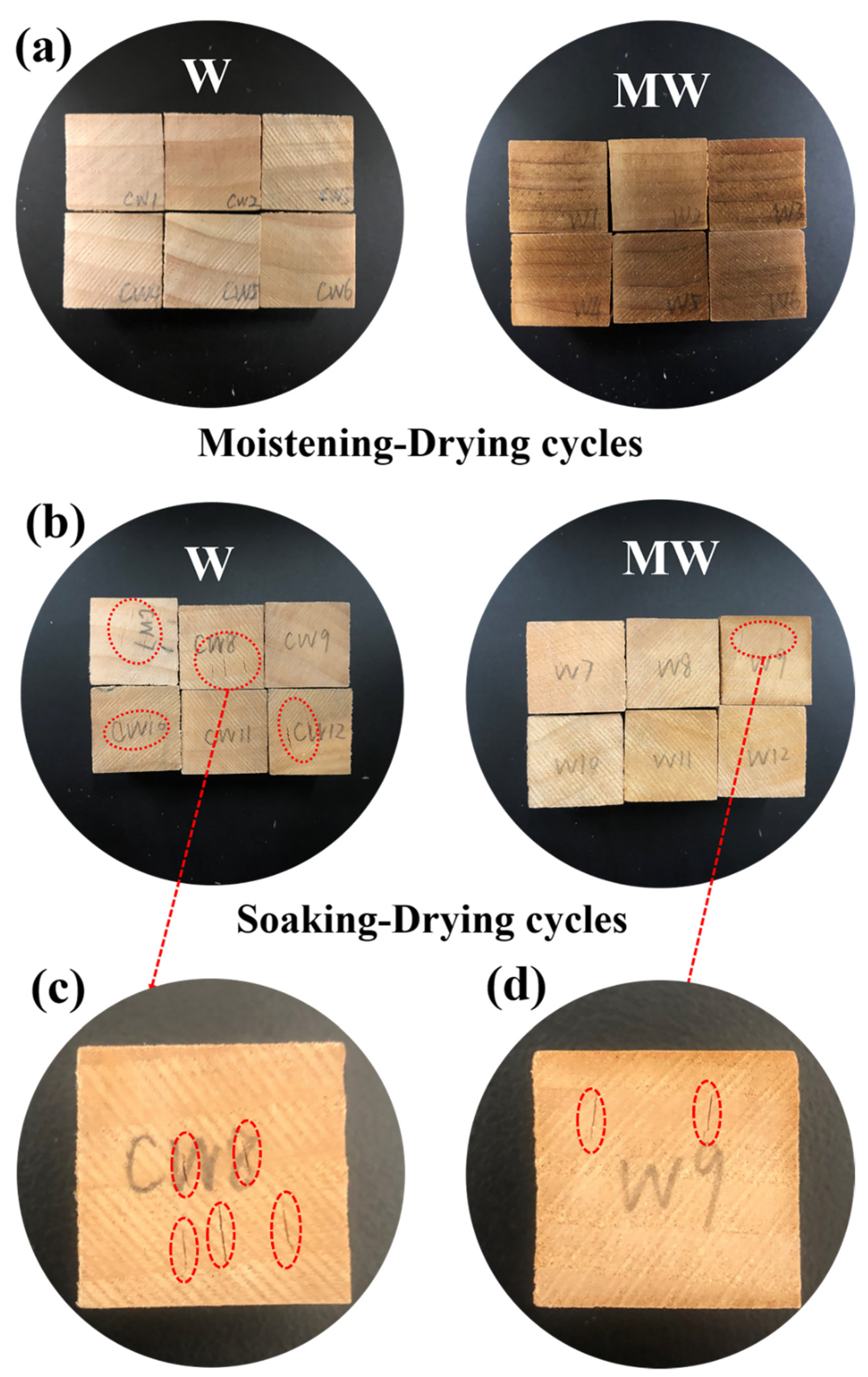 Polymers 14 00738 g006