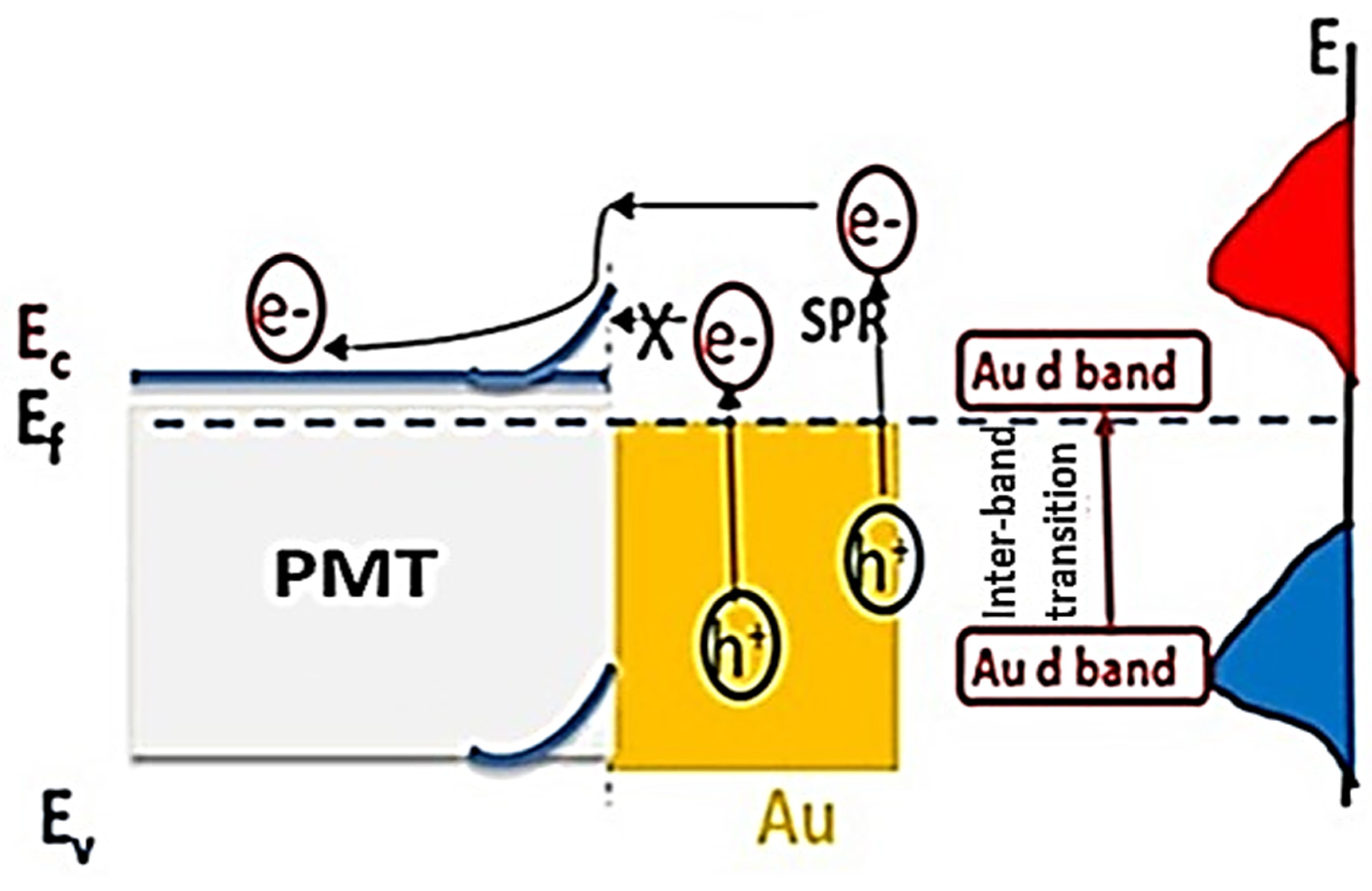 Polymers 14 00768 g009