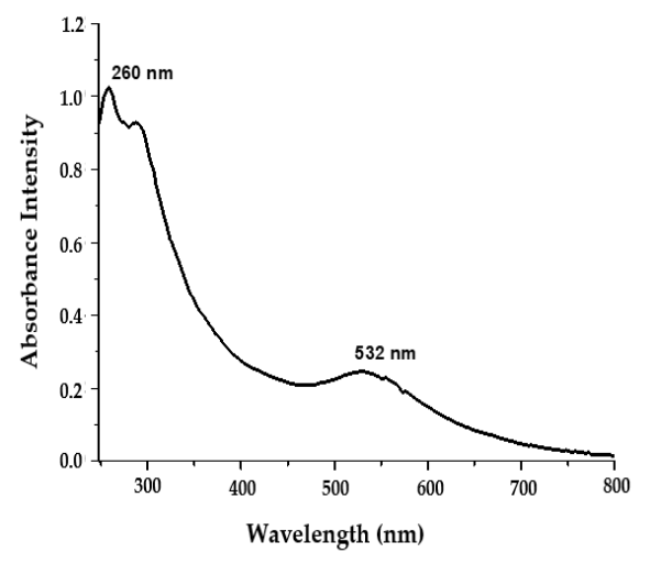 Polymers 14 00771 g002