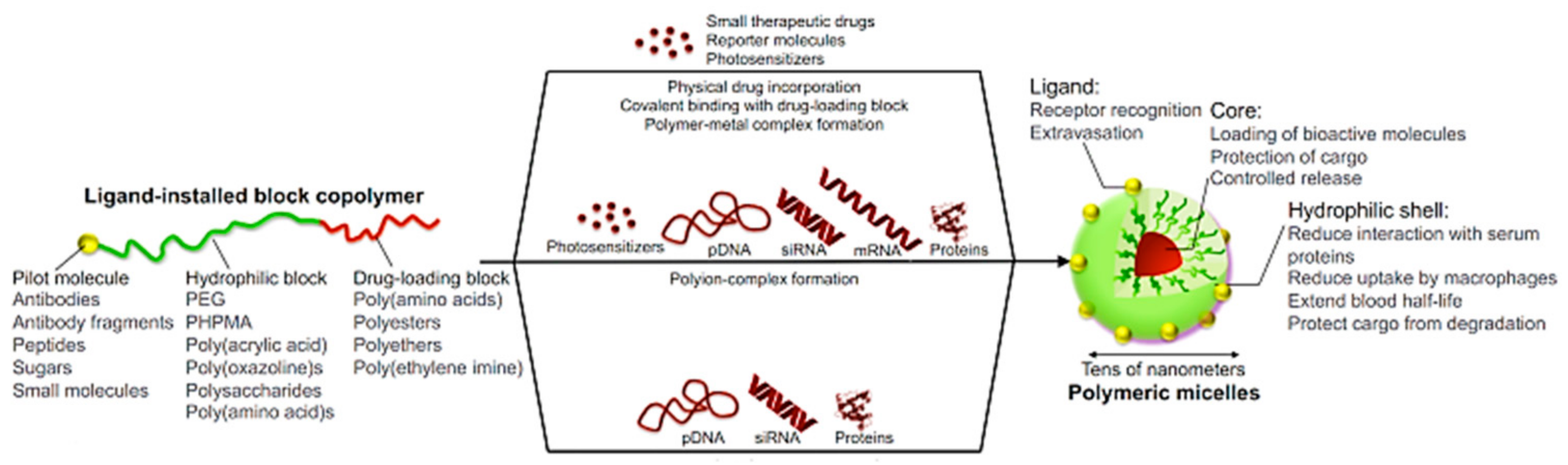 Polymers 14 00777 sch004