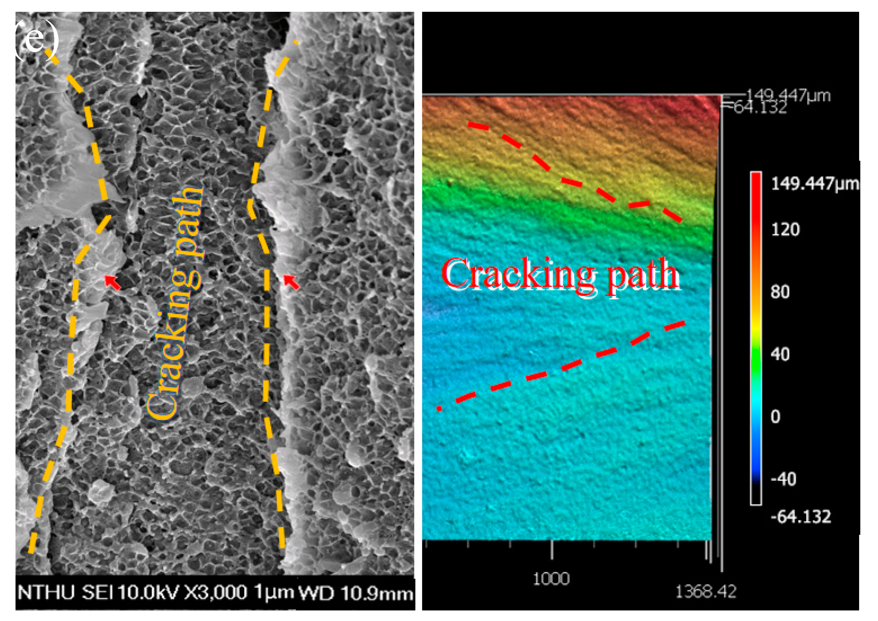 Polymers 14 00782 g008c