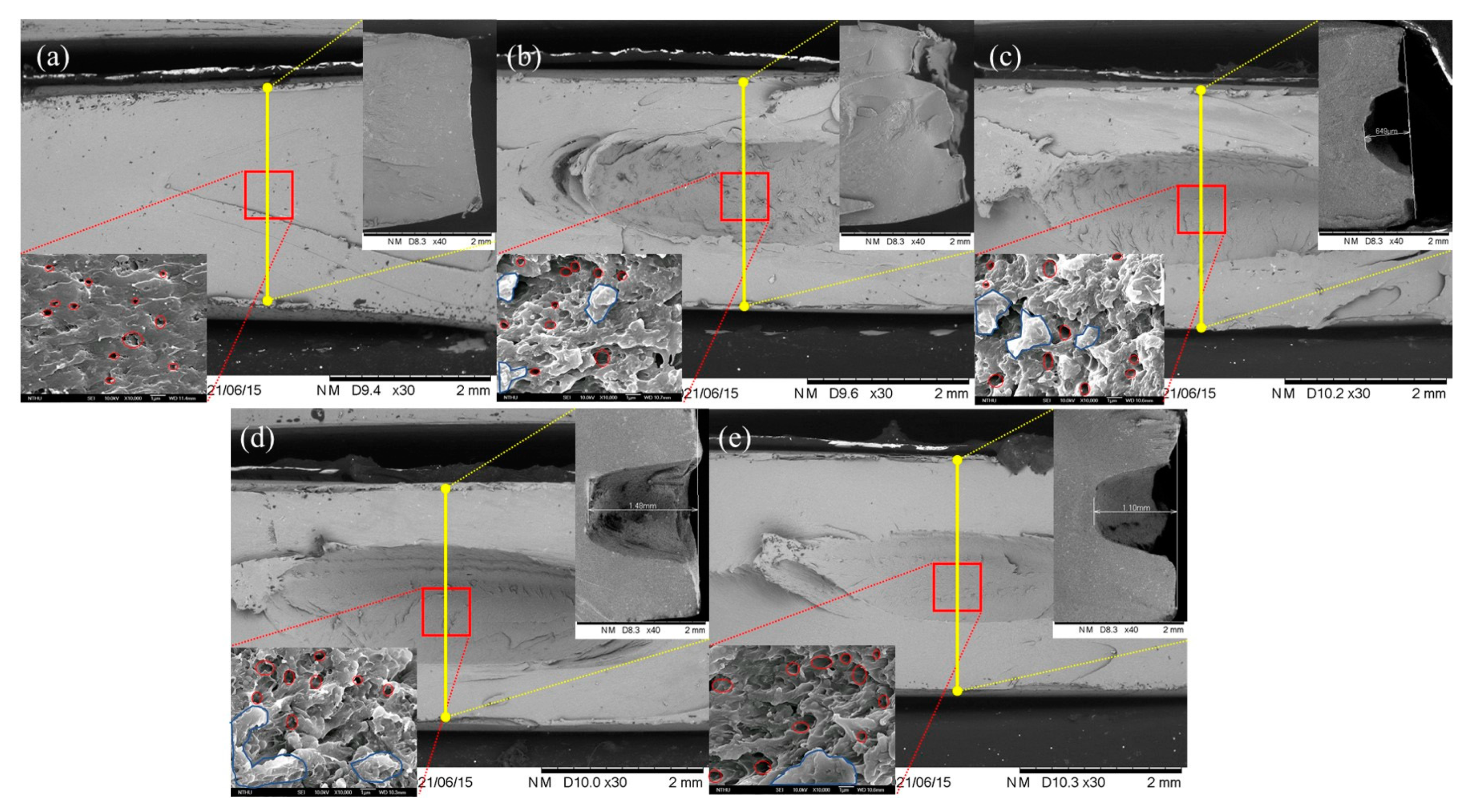Polymers 14 00782 g009
