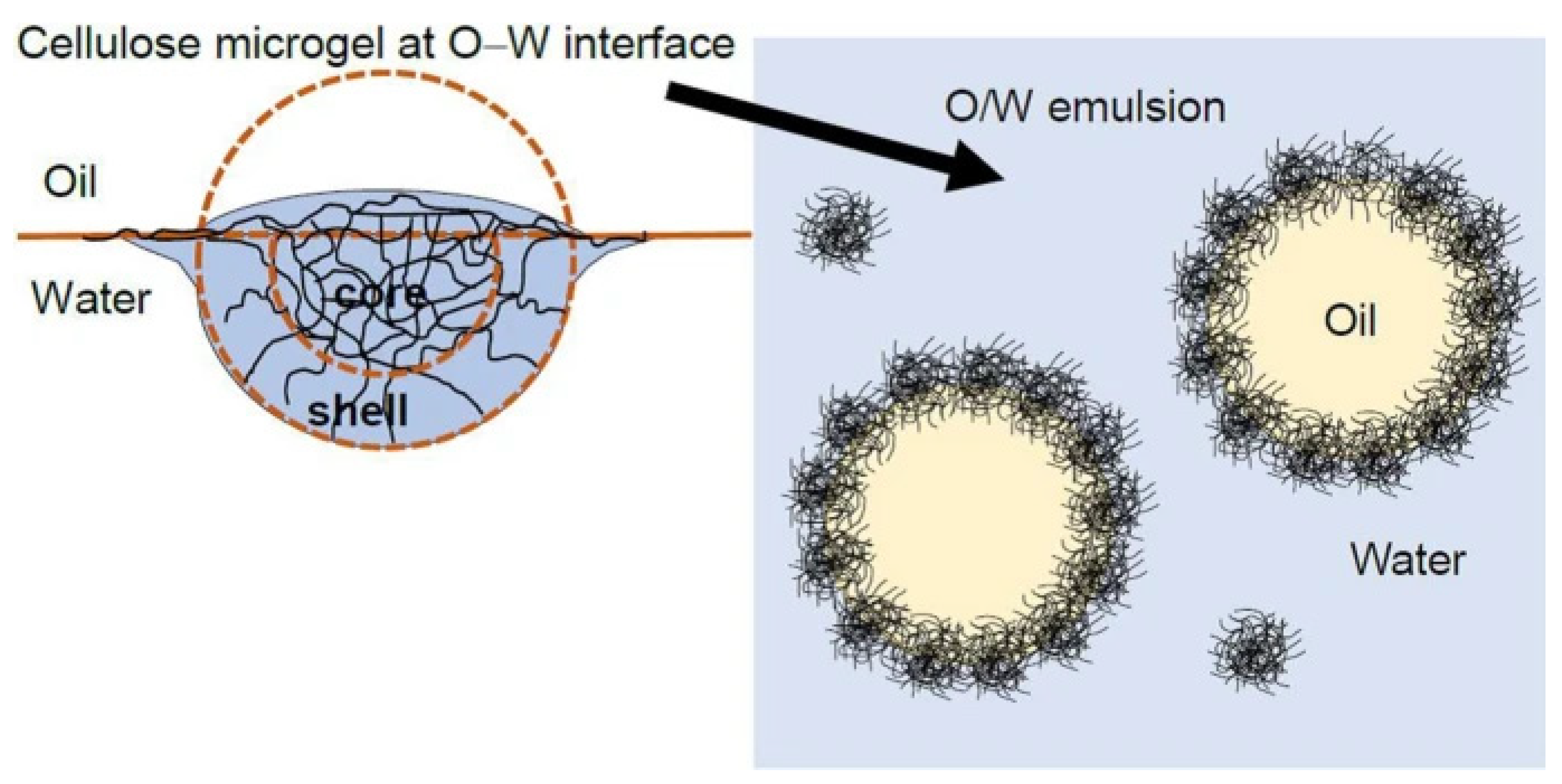 Polymers 14 00813 g005