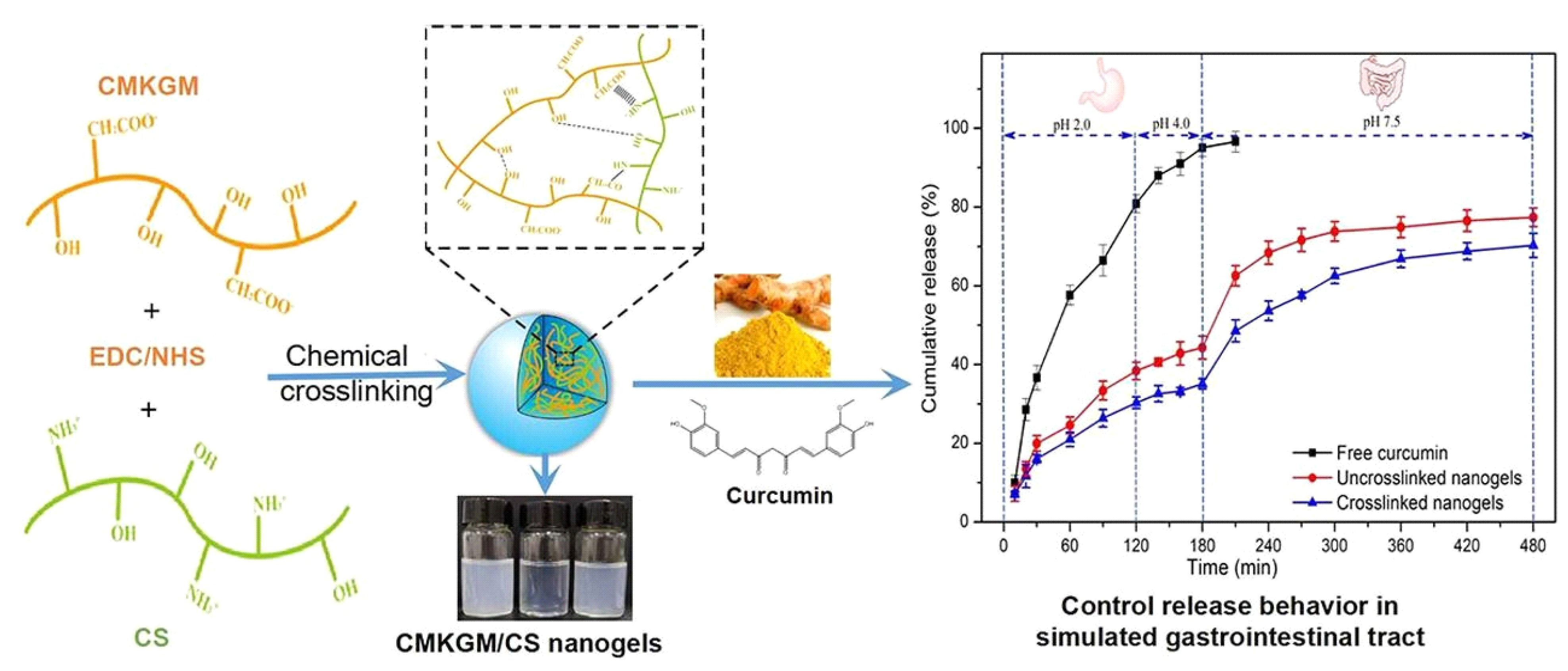 Polymers 14 00813 g006