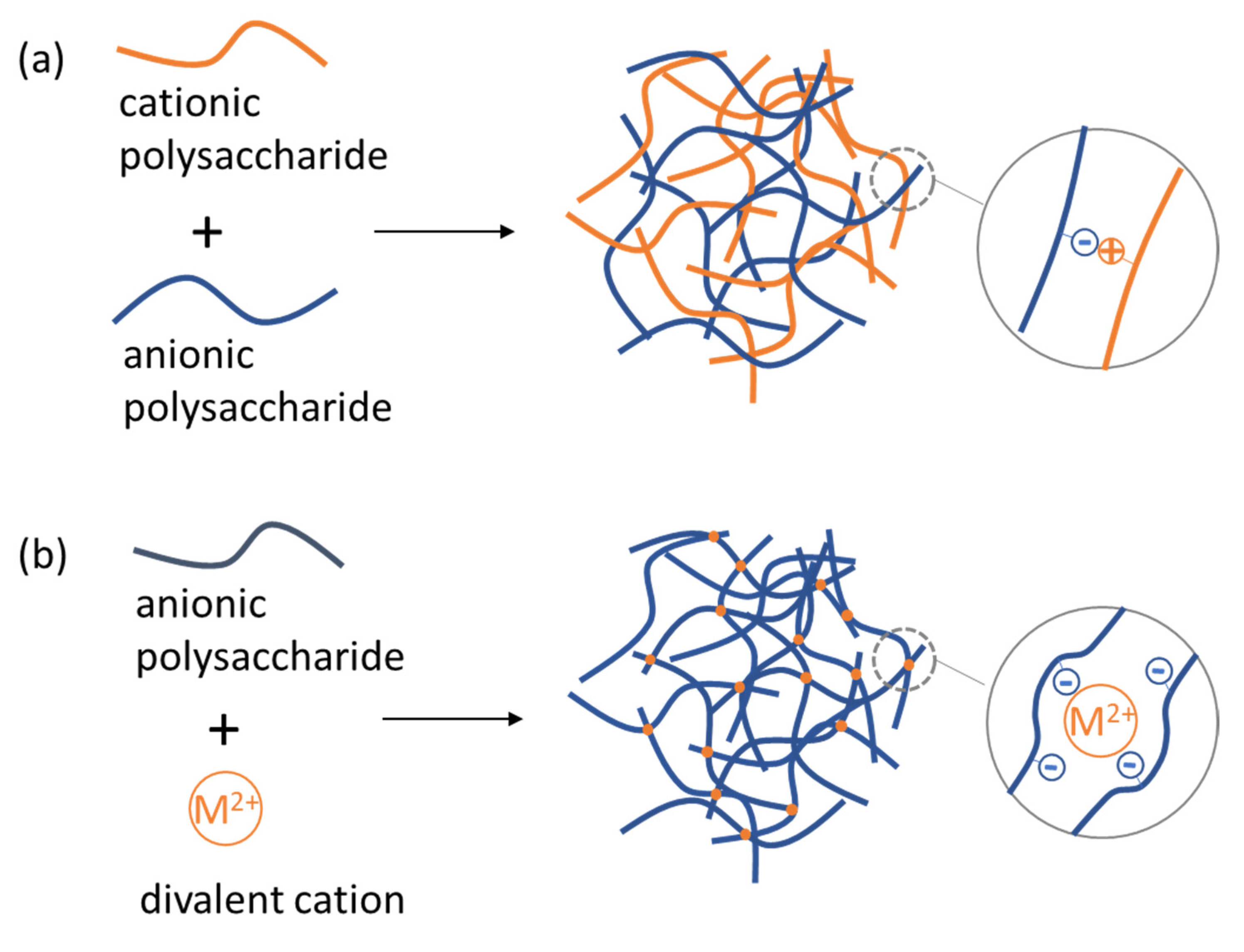 Polymers 14 00813 g009