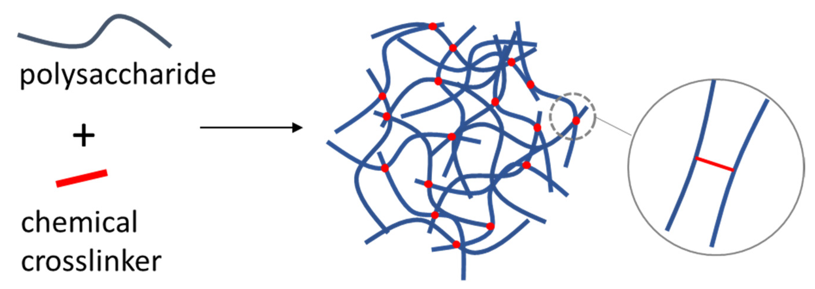Polymers 14 00813 g012