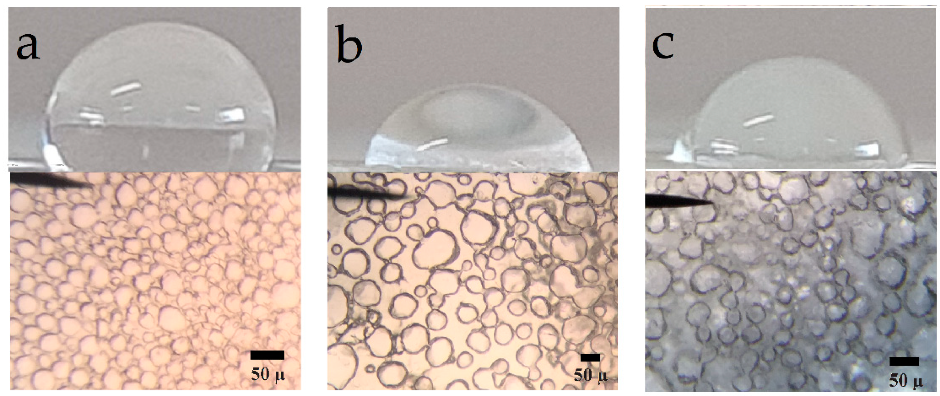 Polymers 14 00831 g006