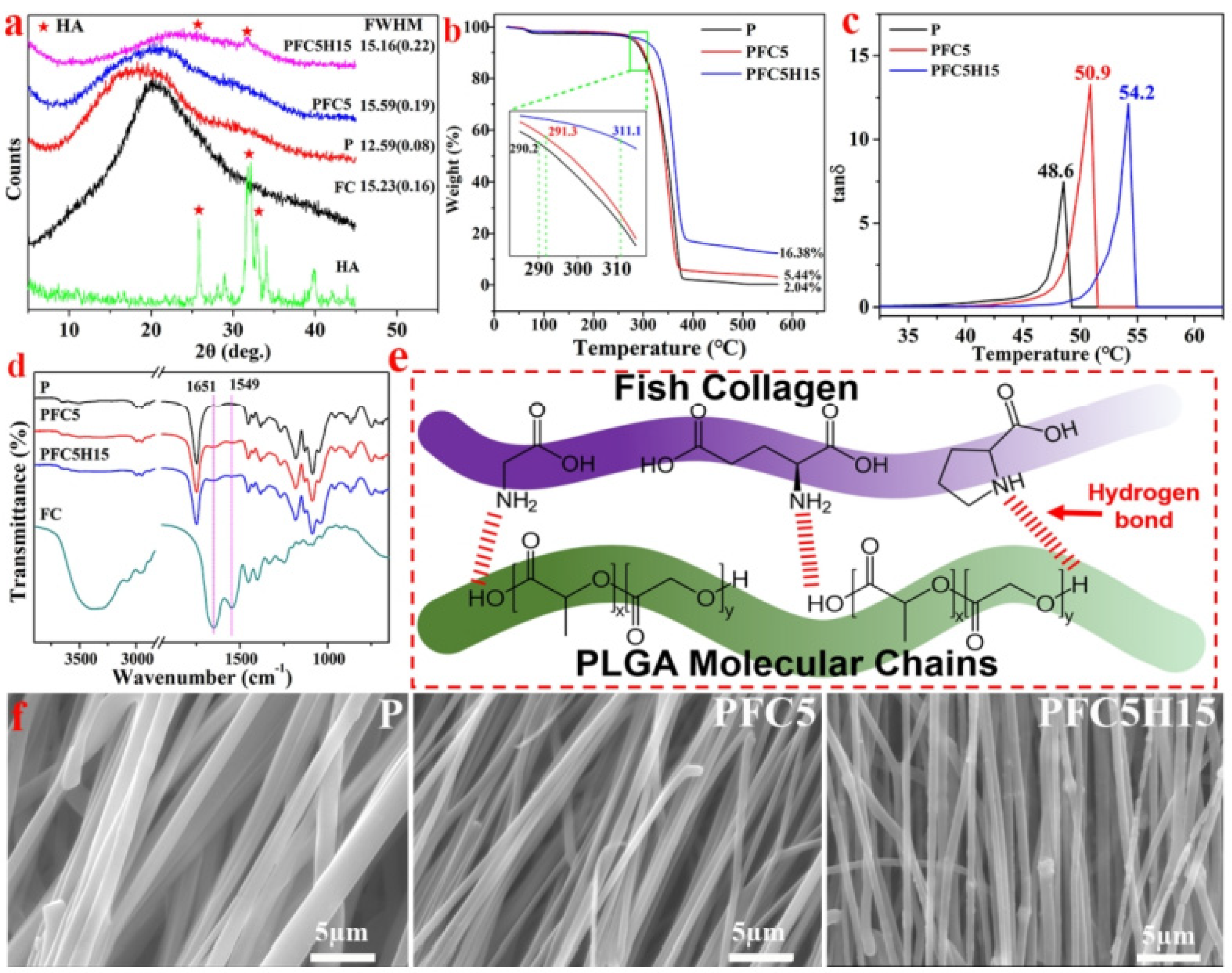 Polymers 14 00871 g006