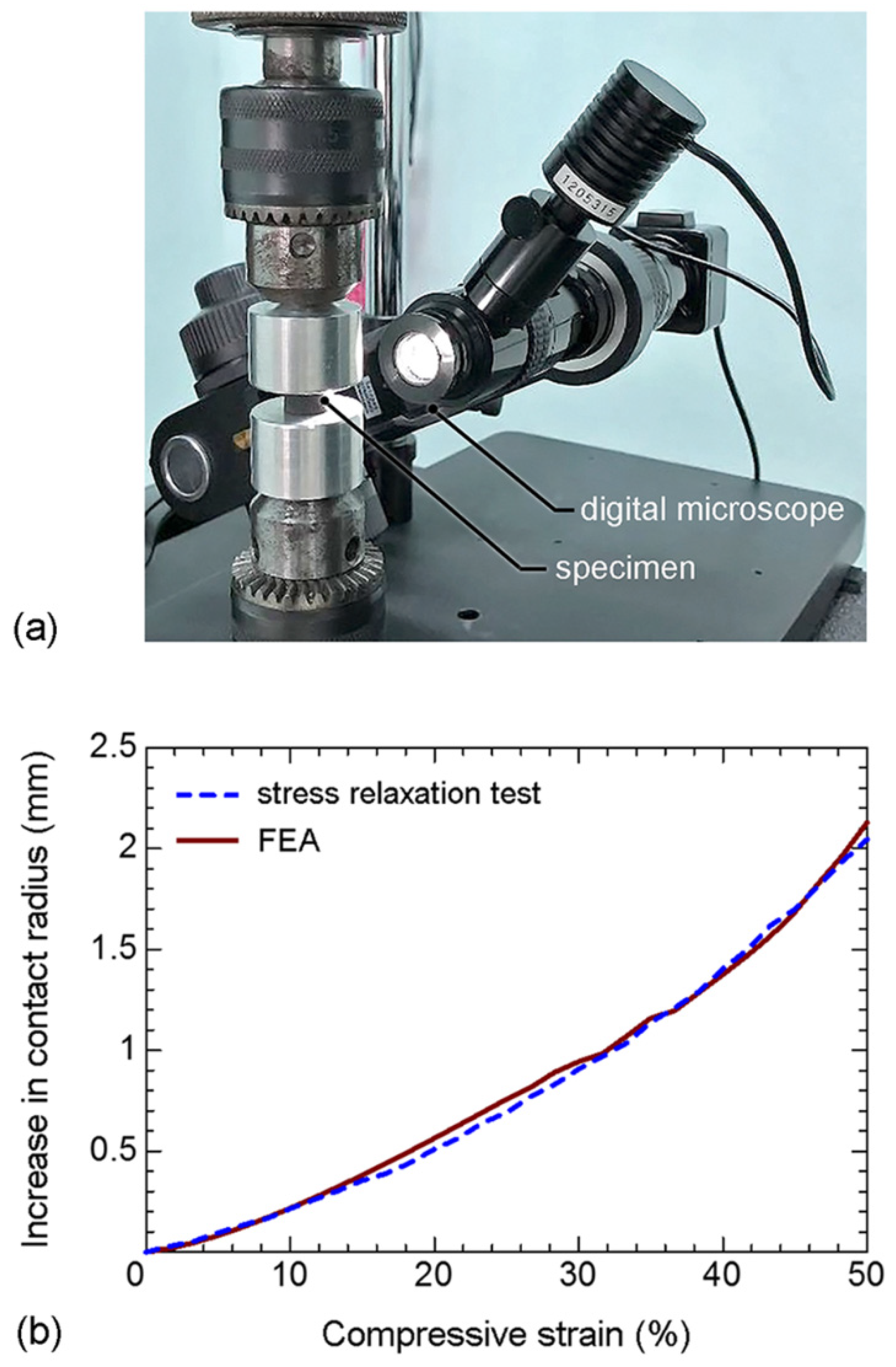 Polymers 14 00873 g012
