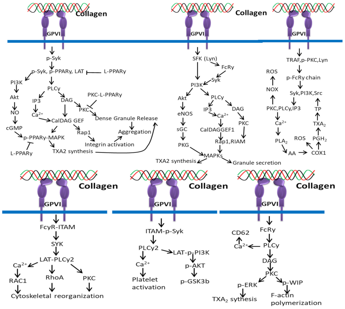 Polymers 14 00876 g008