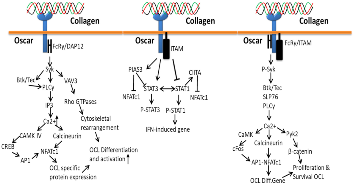Polymers 14 00876 g009