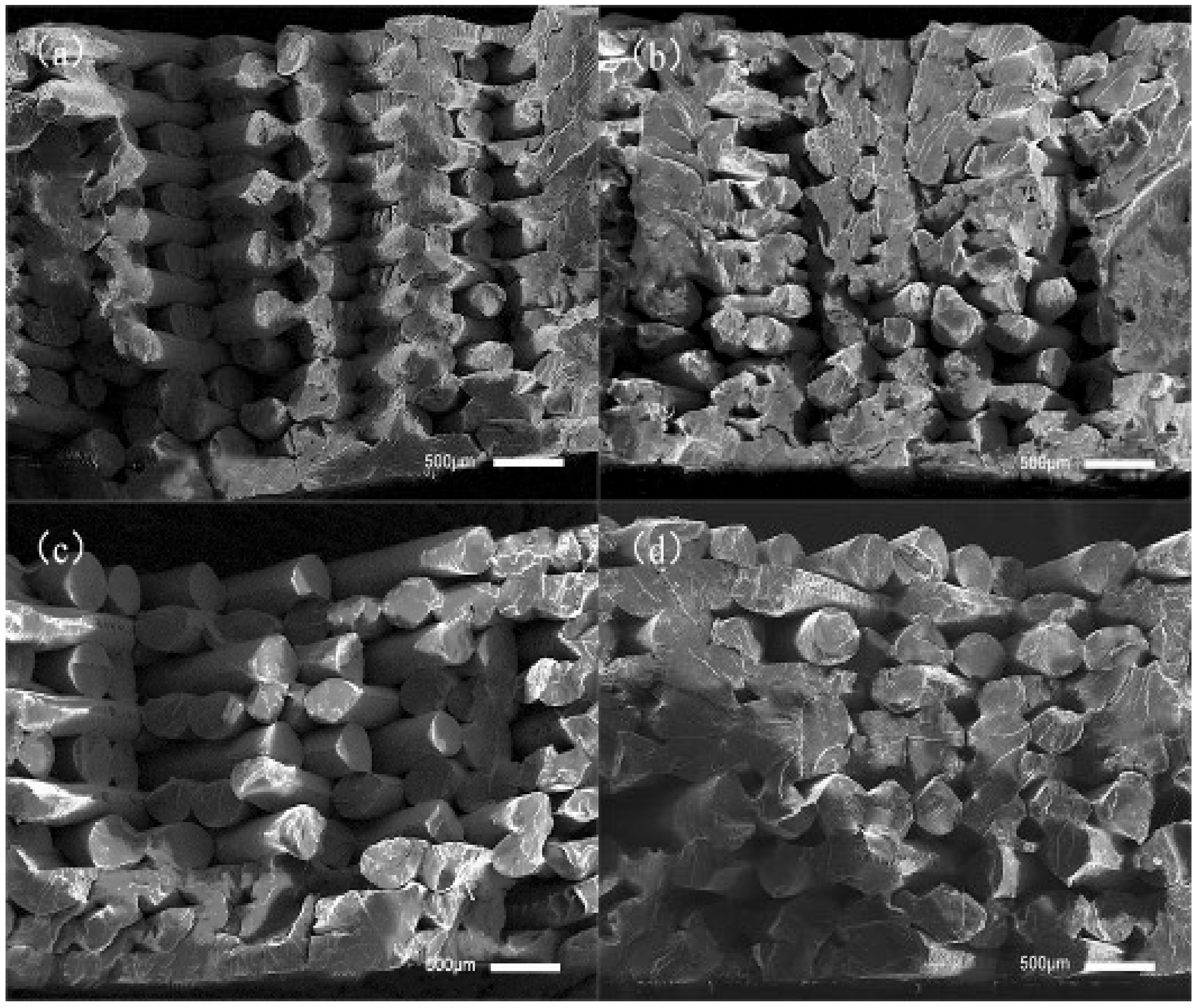 Polymers 14 00904 g007