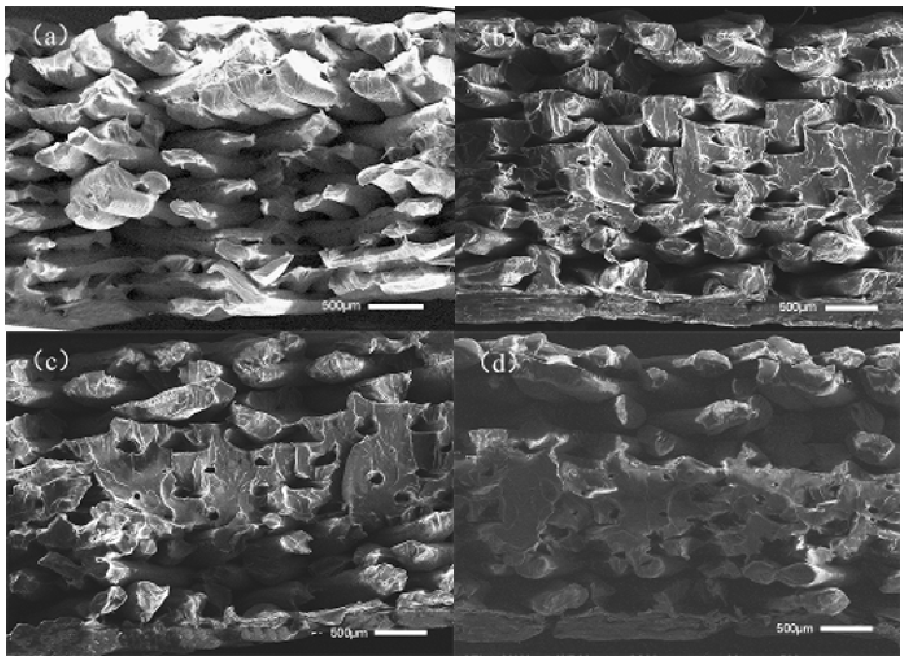 Polymers 14 00904 g016
