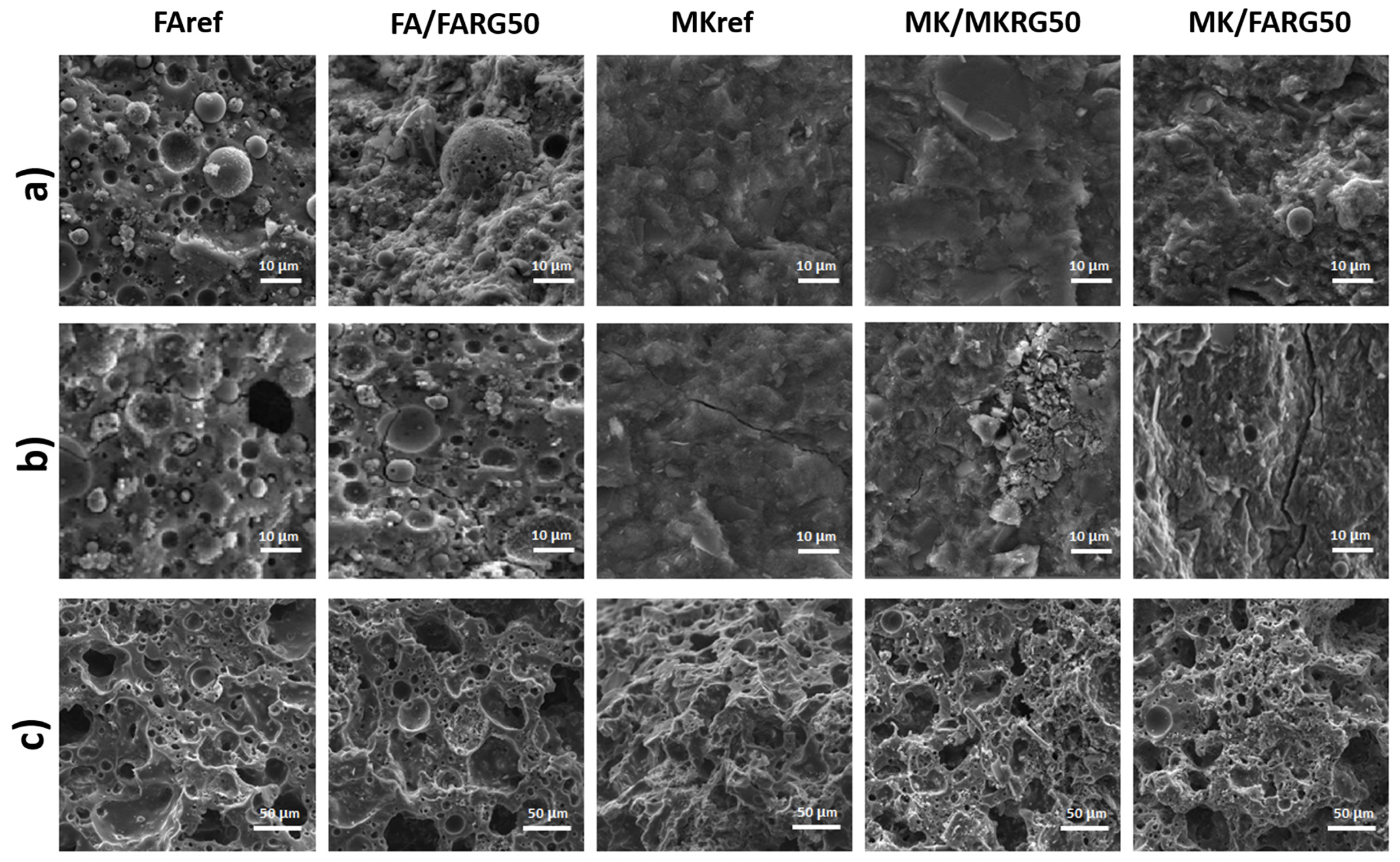 Polymers 14 00917 g010