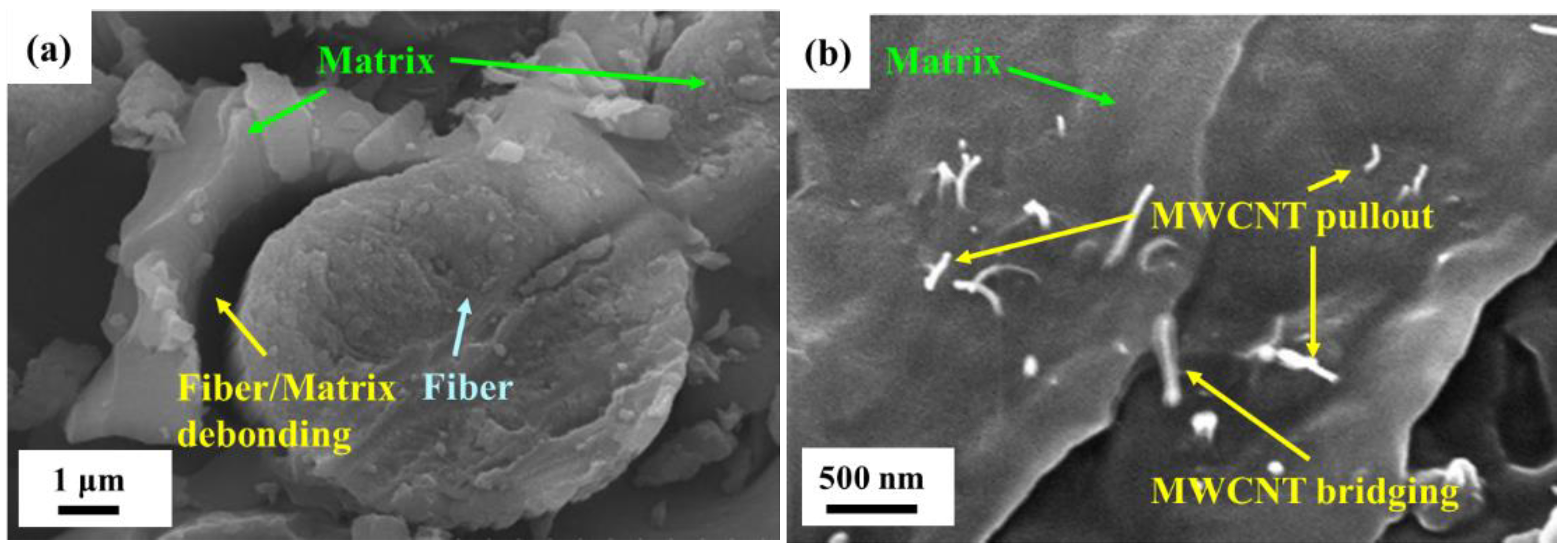 Polymers 14 00918 g018a