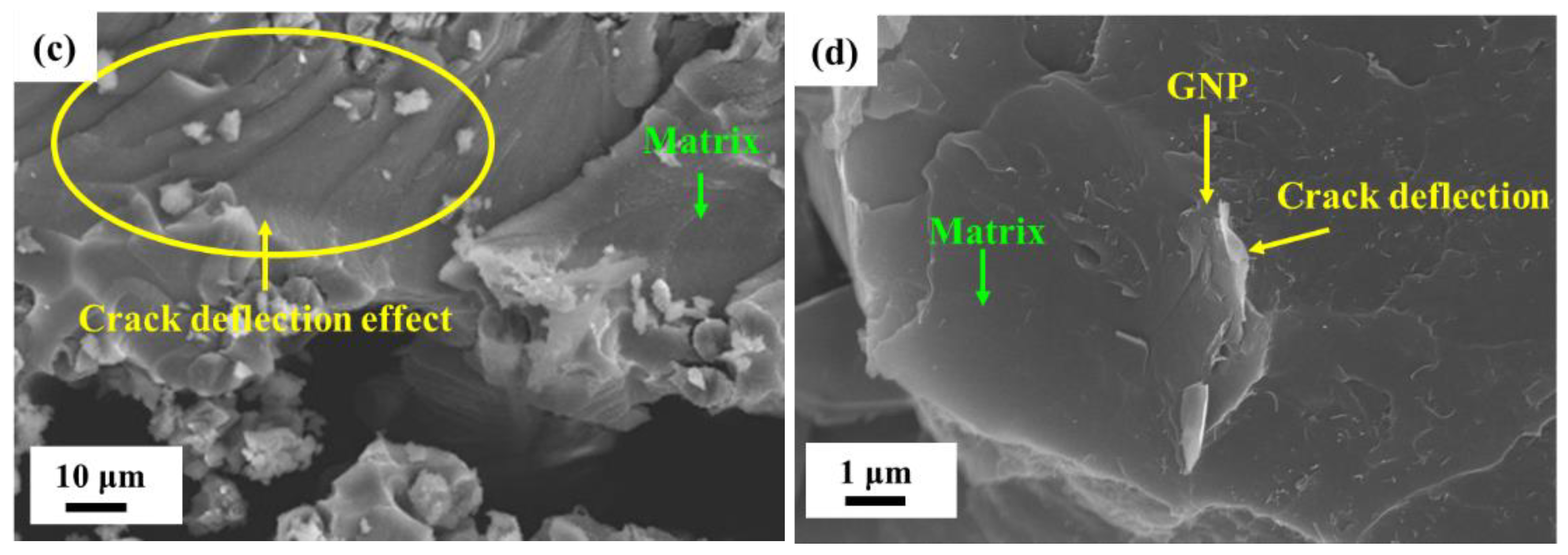 Polymers 14 00918 g018b