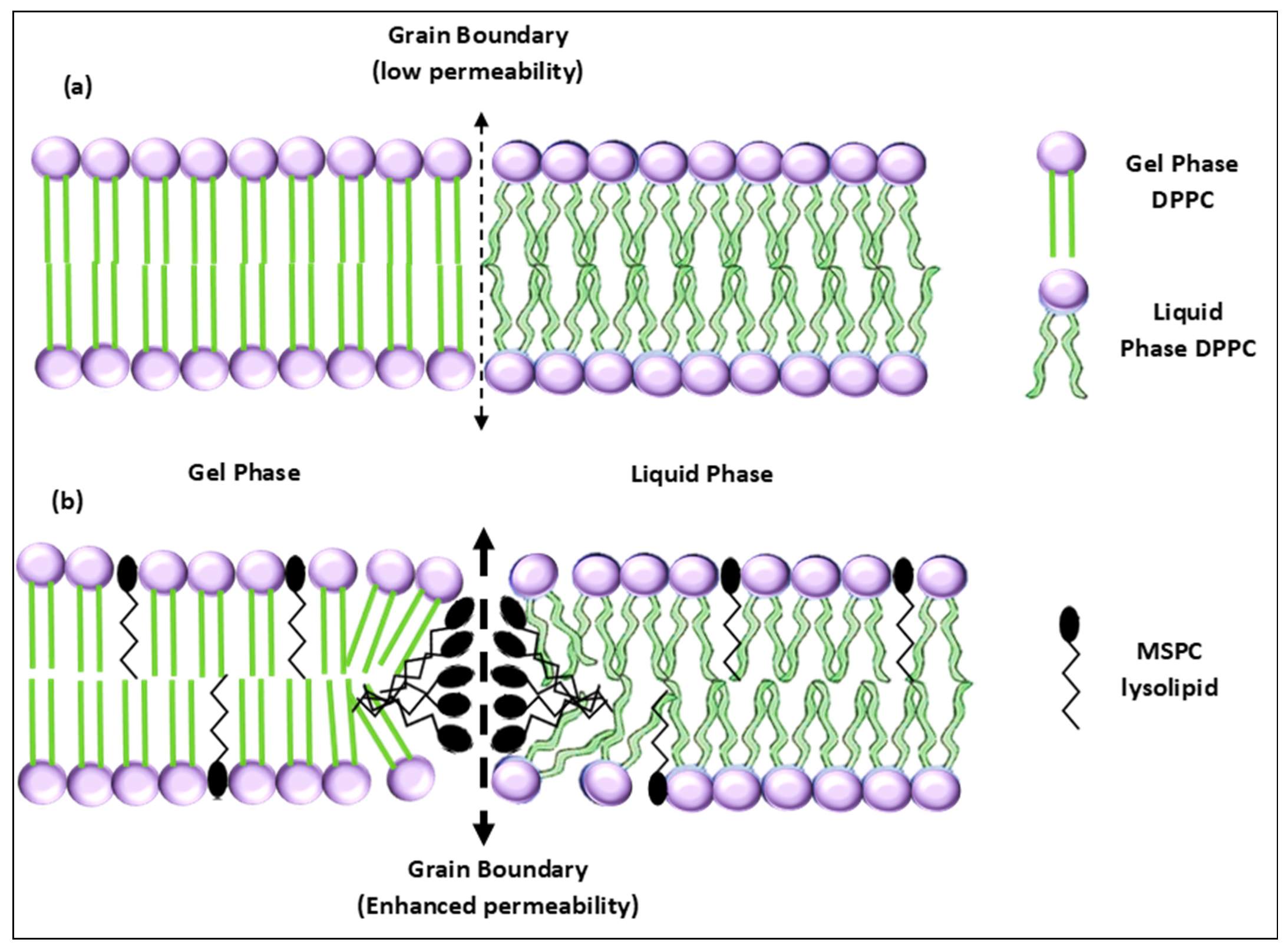 Polymers 14 00925 g005