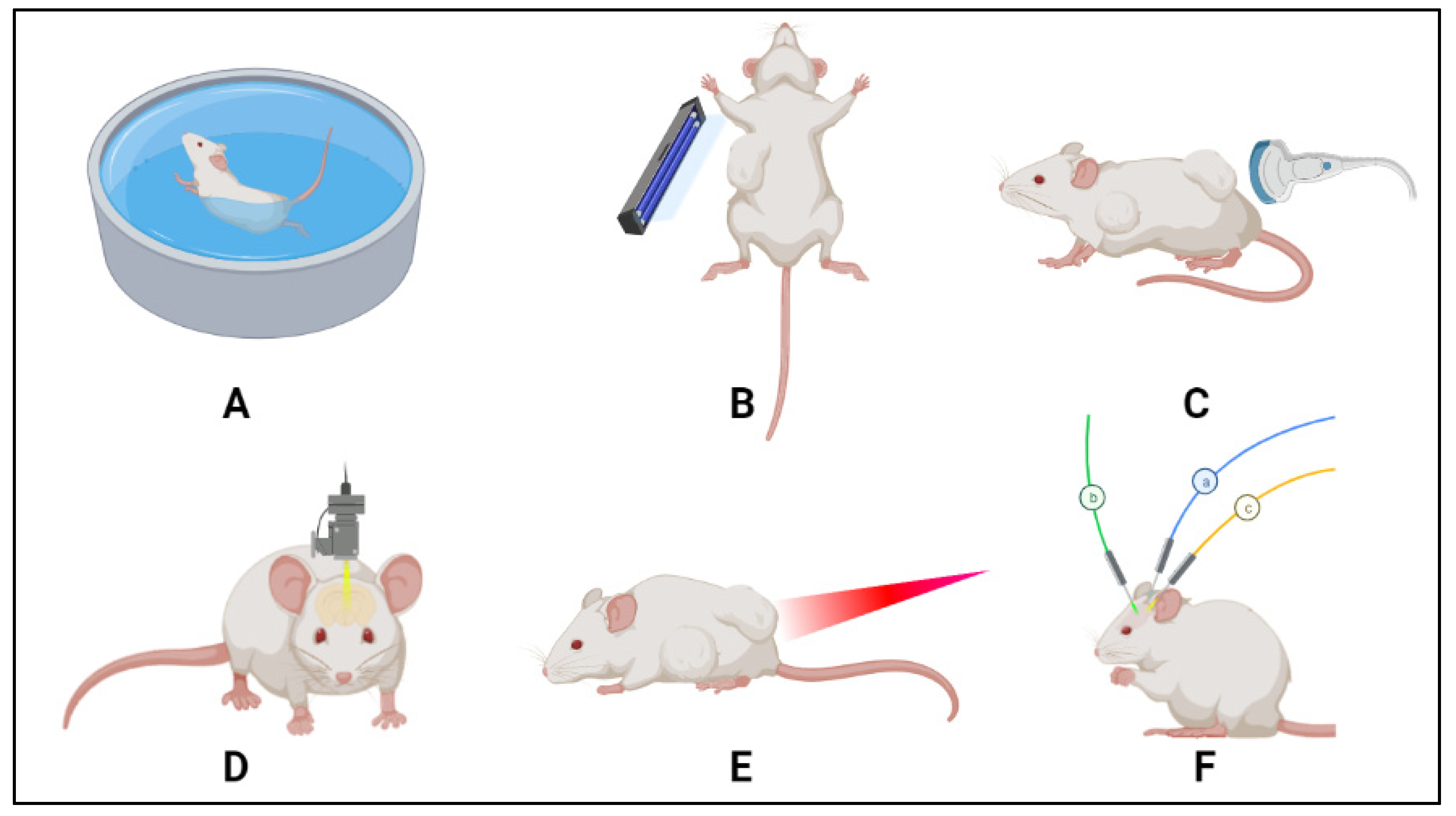Polymers 14 00925 g009