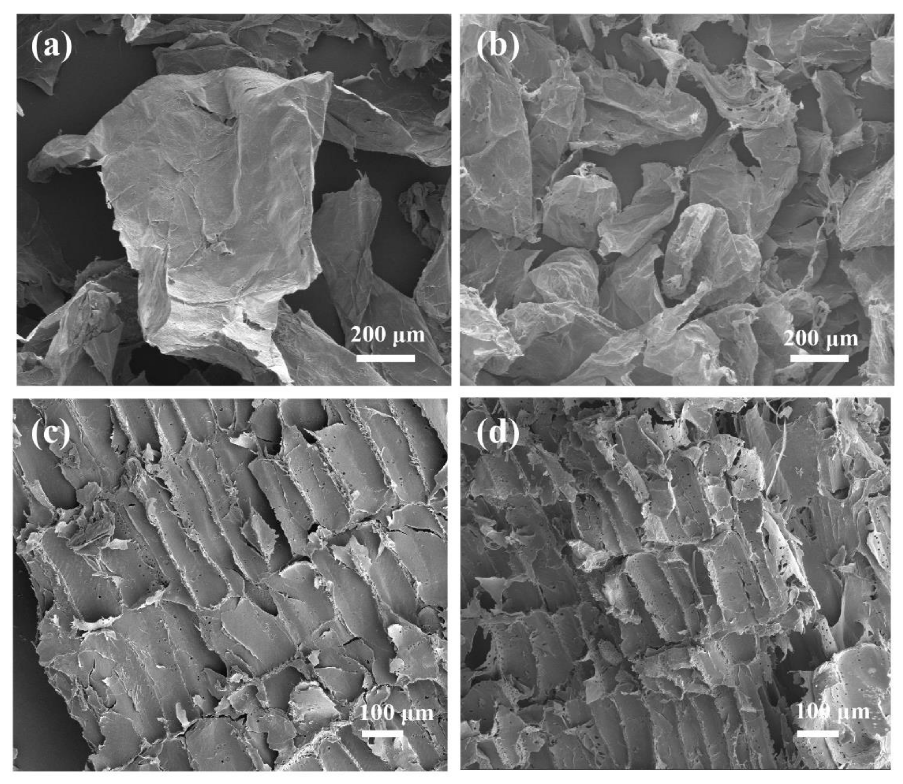 Polymers 14 00930 g007