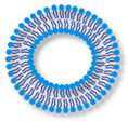 Polymers 14 00936 i001