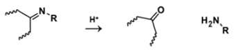Polymers 14 00936 i021