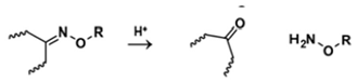 Polymers 14 00936 i045
