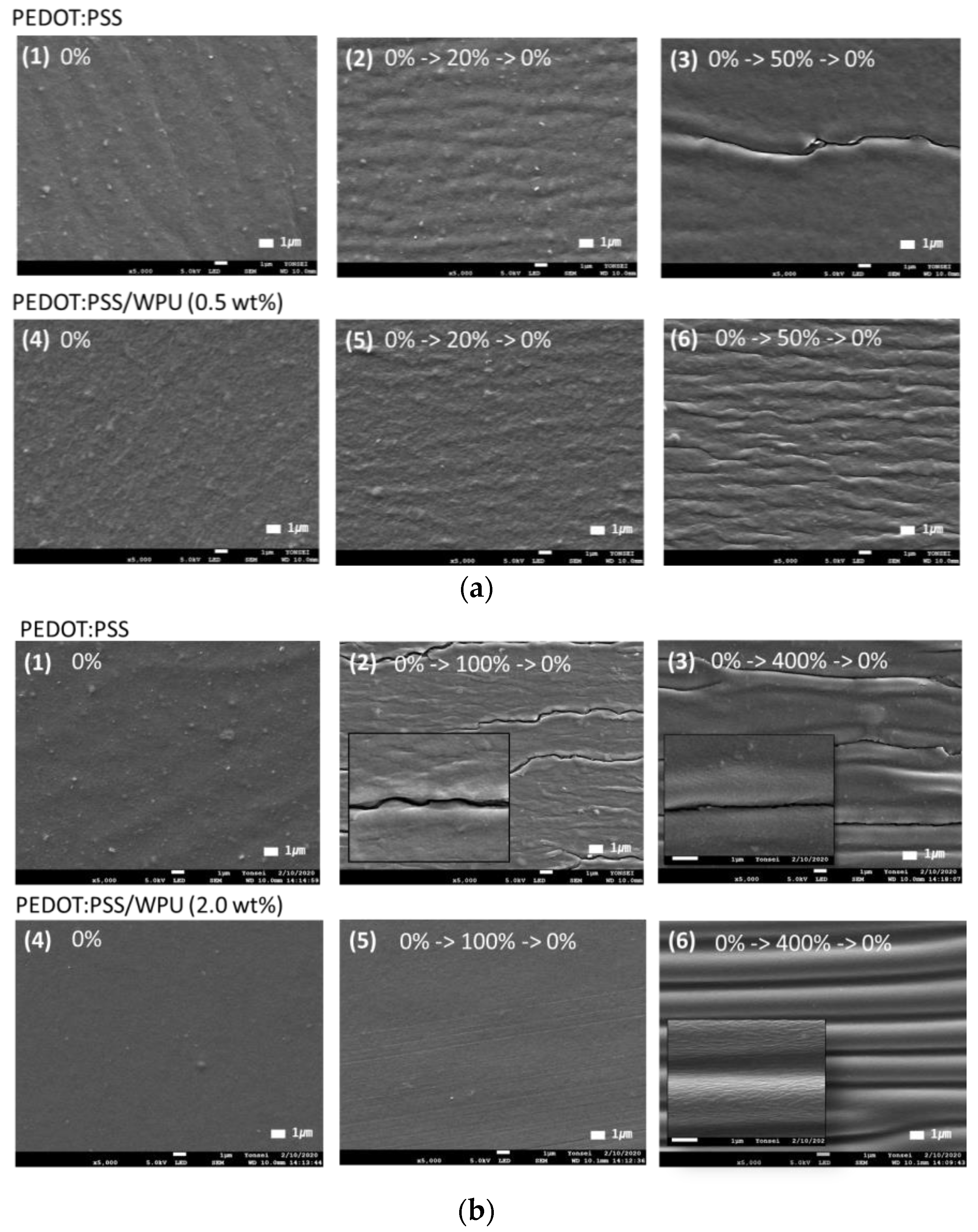 Polymers 14 00949 g008