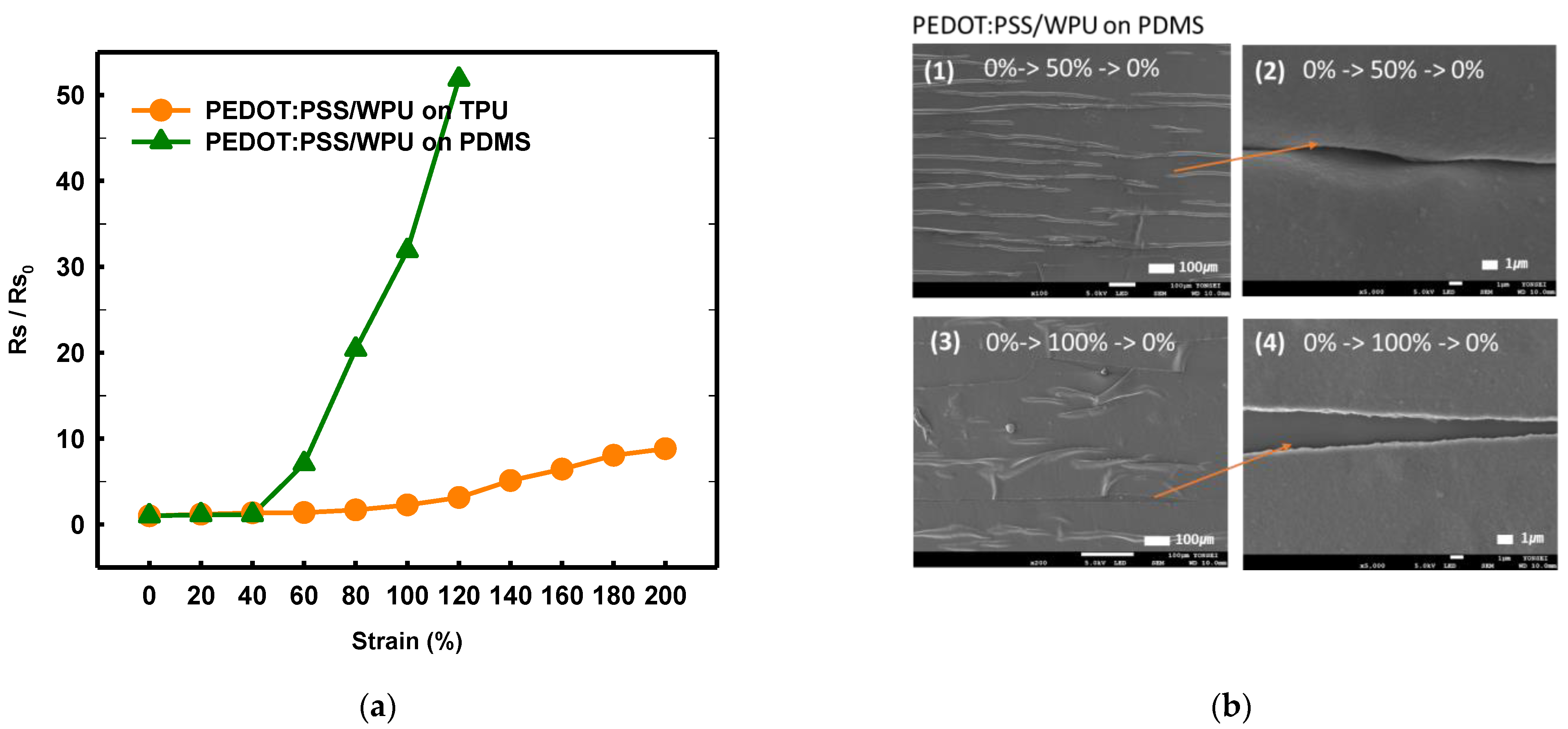 Polymers 14 00949 g009