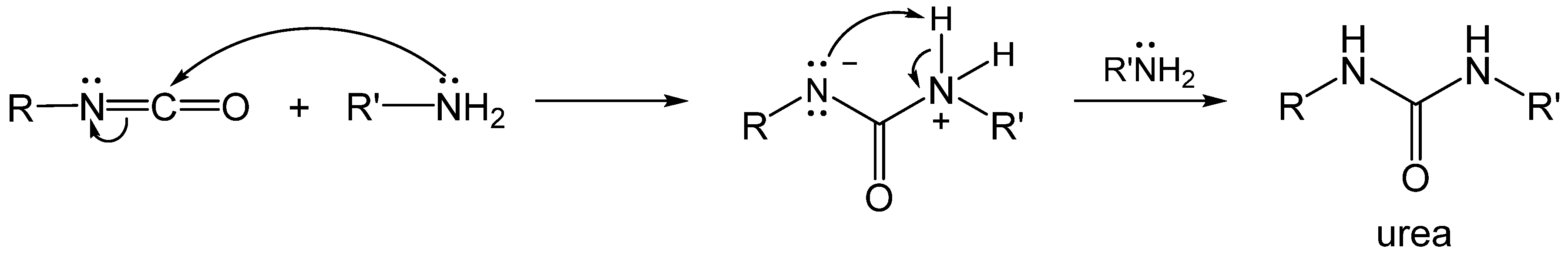 Polymers 14 00969 g005