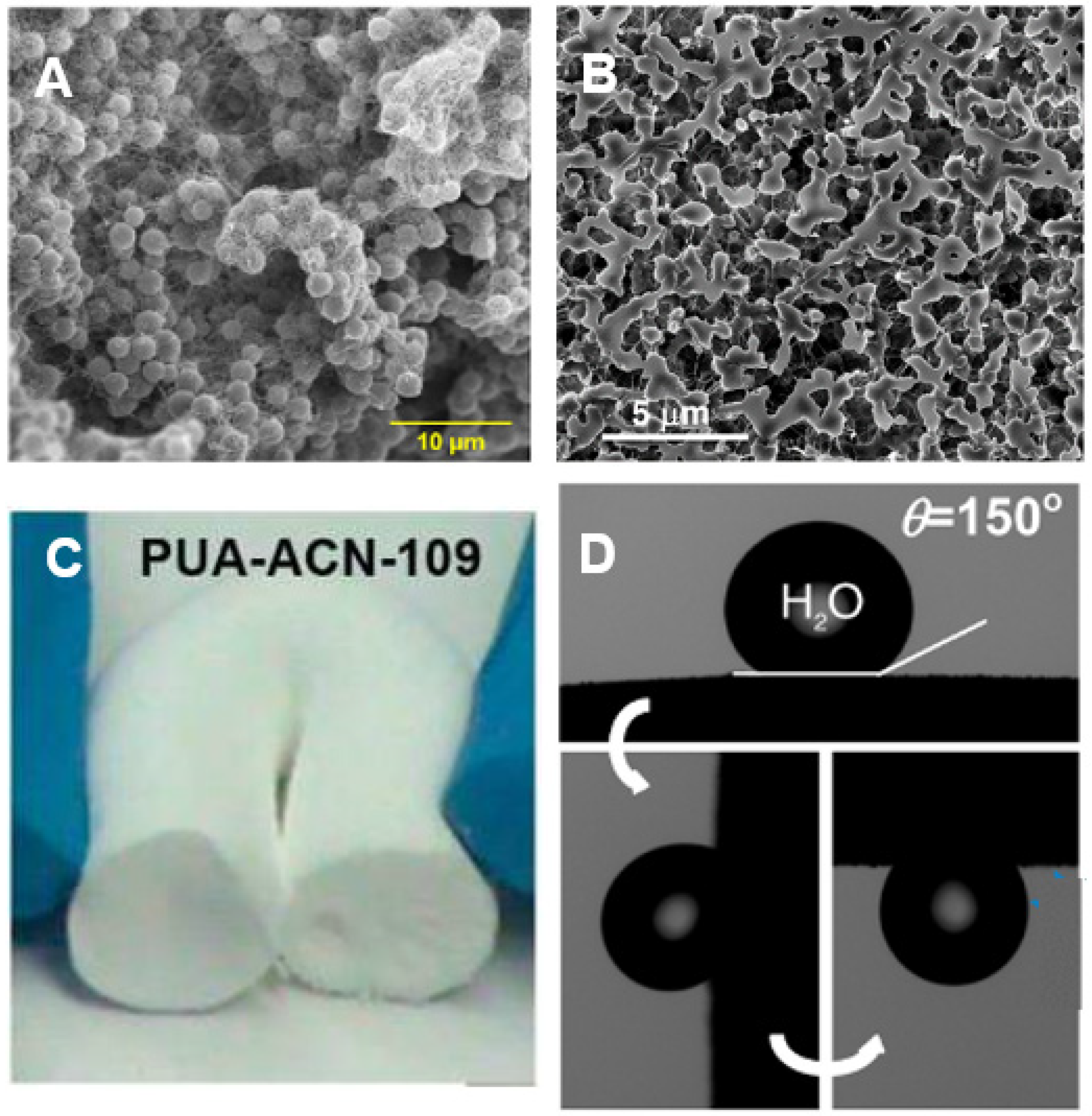 Polymers 14 00969 g022