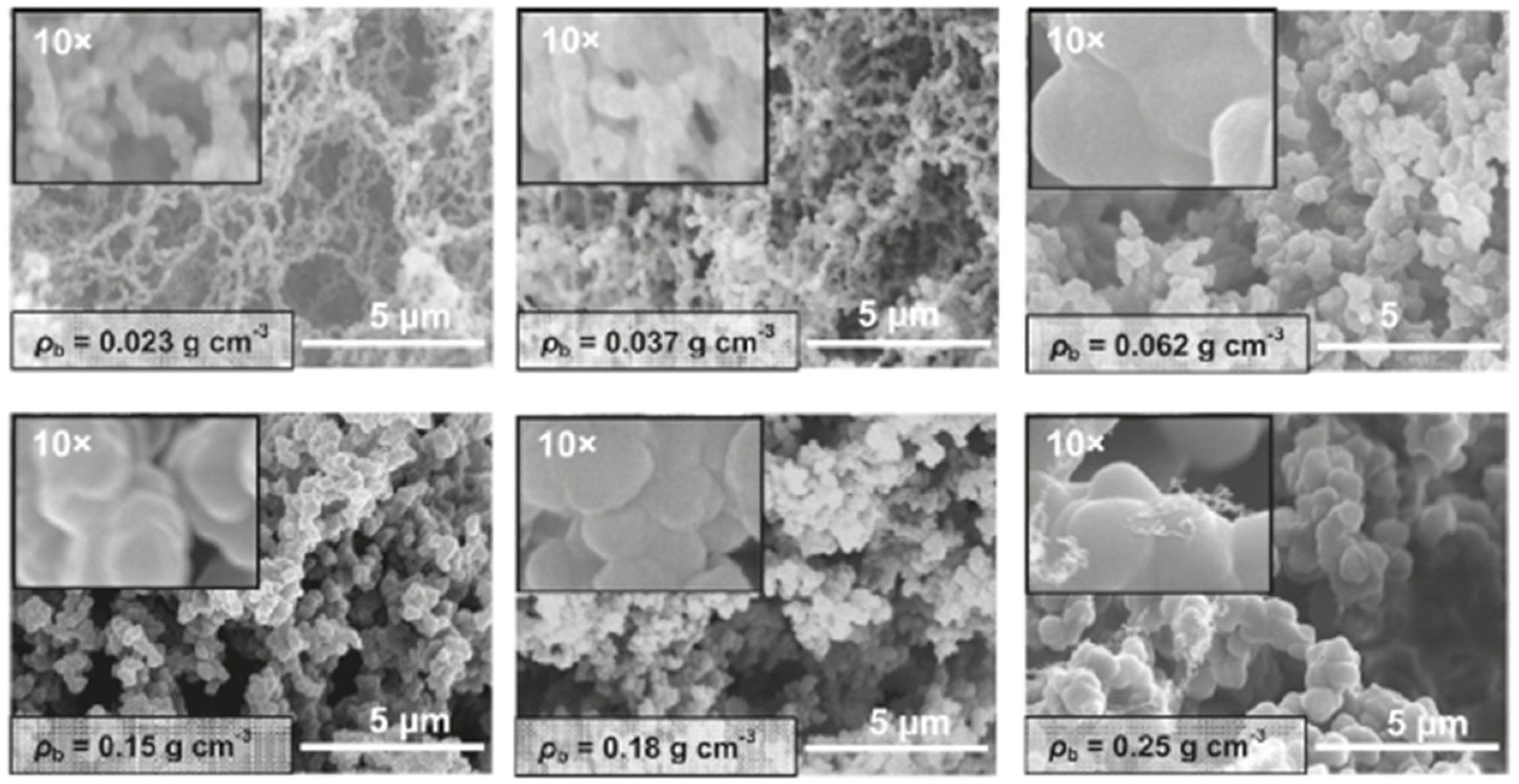 Polymers 14 00969 g028