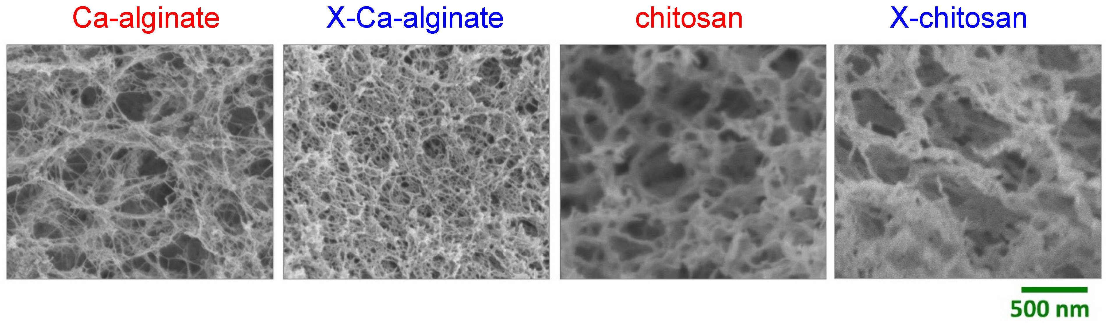 Polymers 14 00969 g042