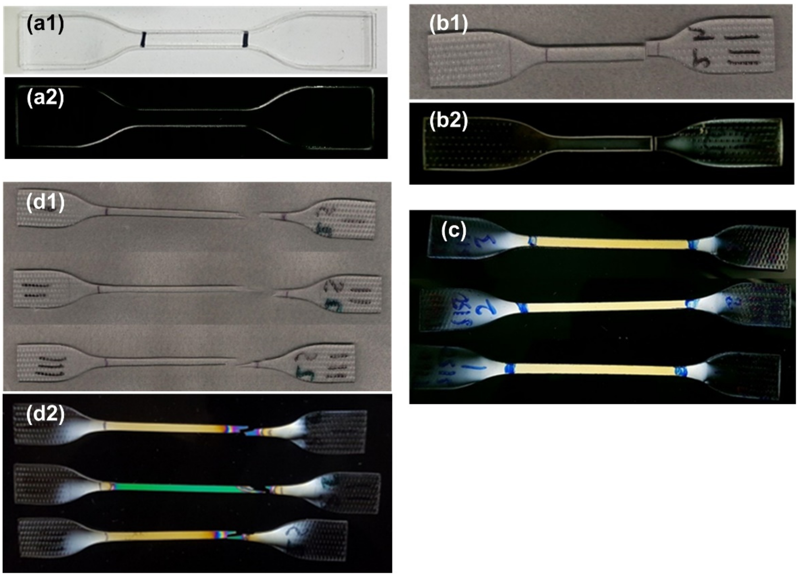 Polymers 14 00985 g006