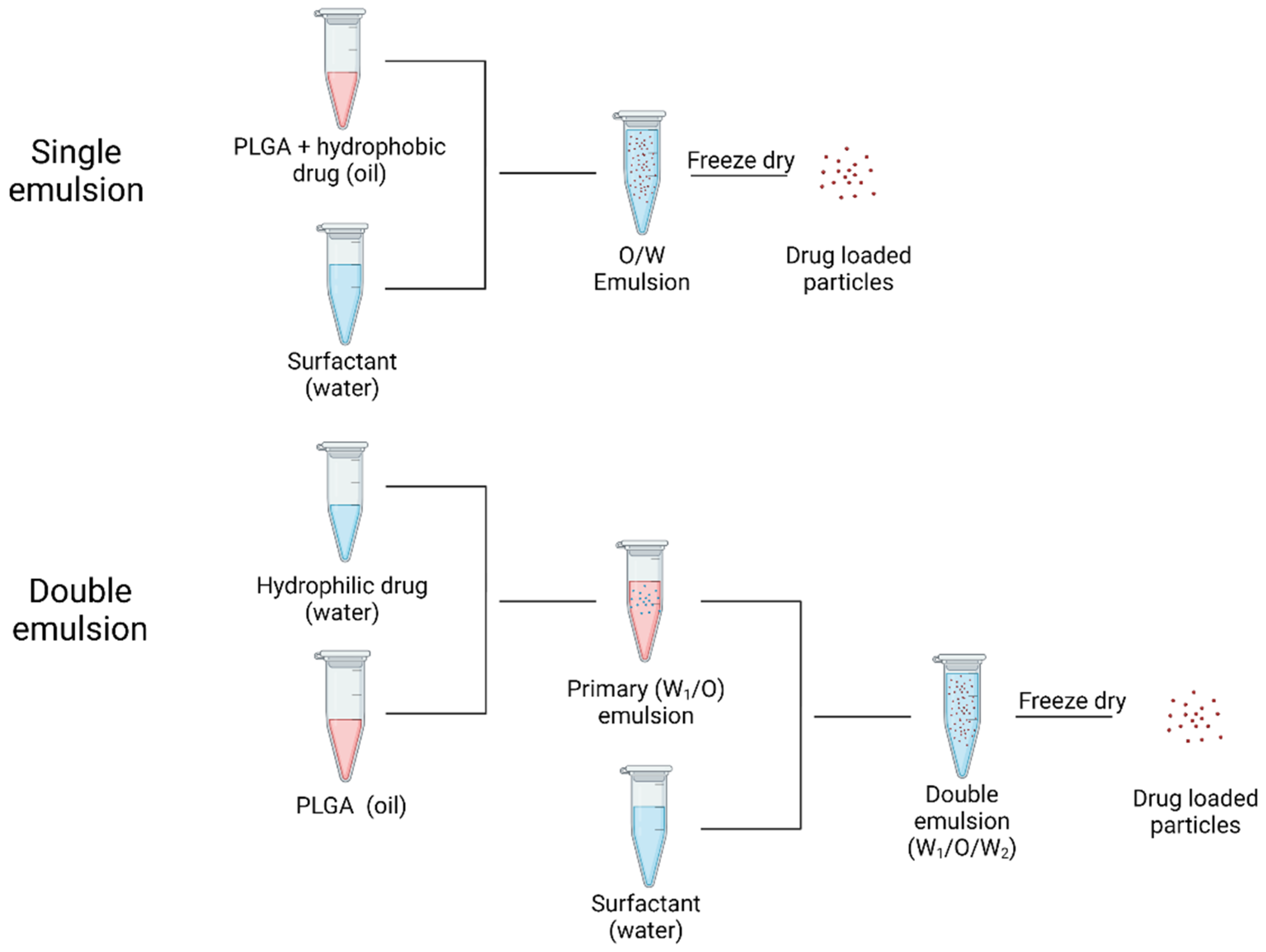 Polymers 14 00993 g006