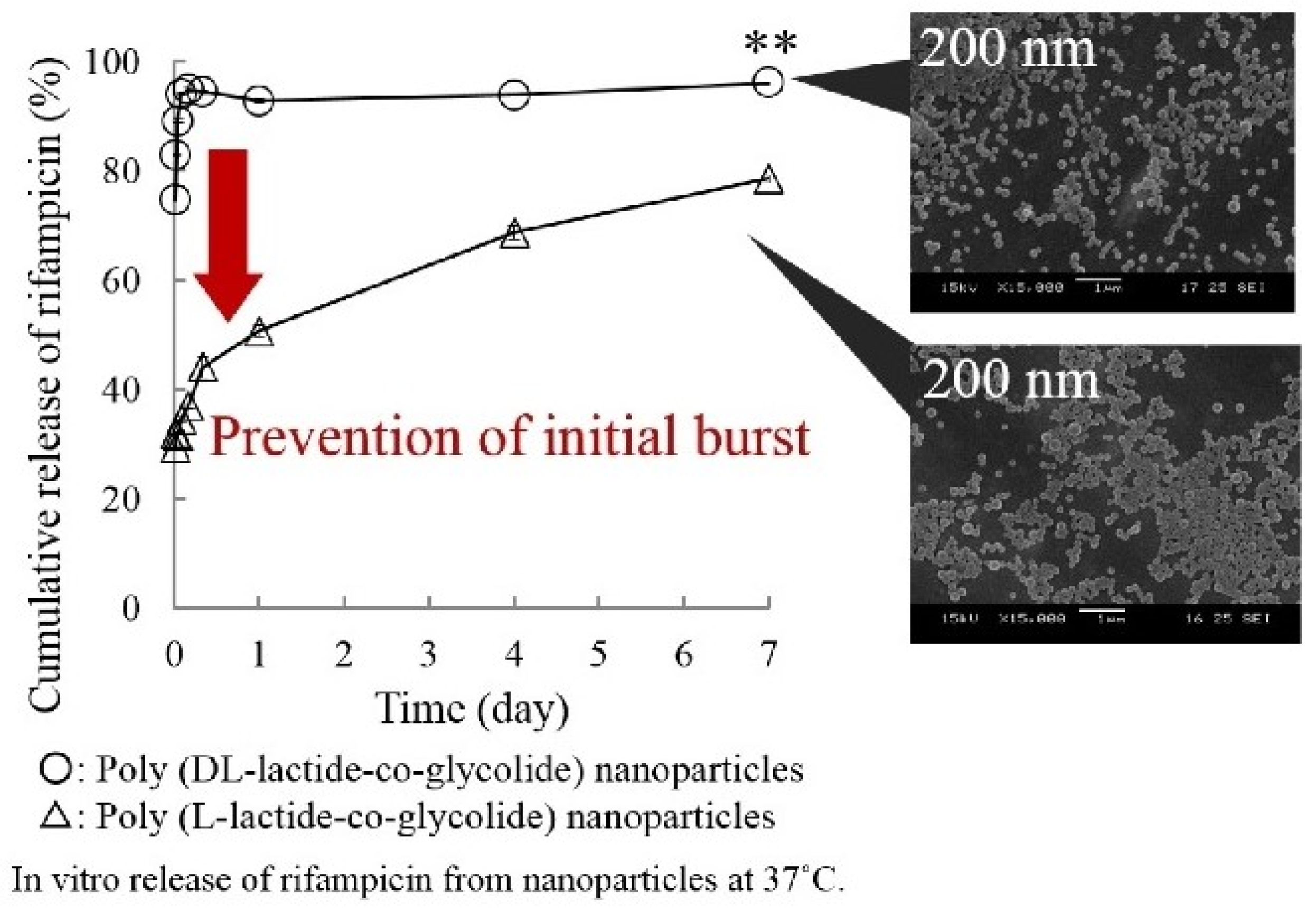 Polymers 14 00993 g009
