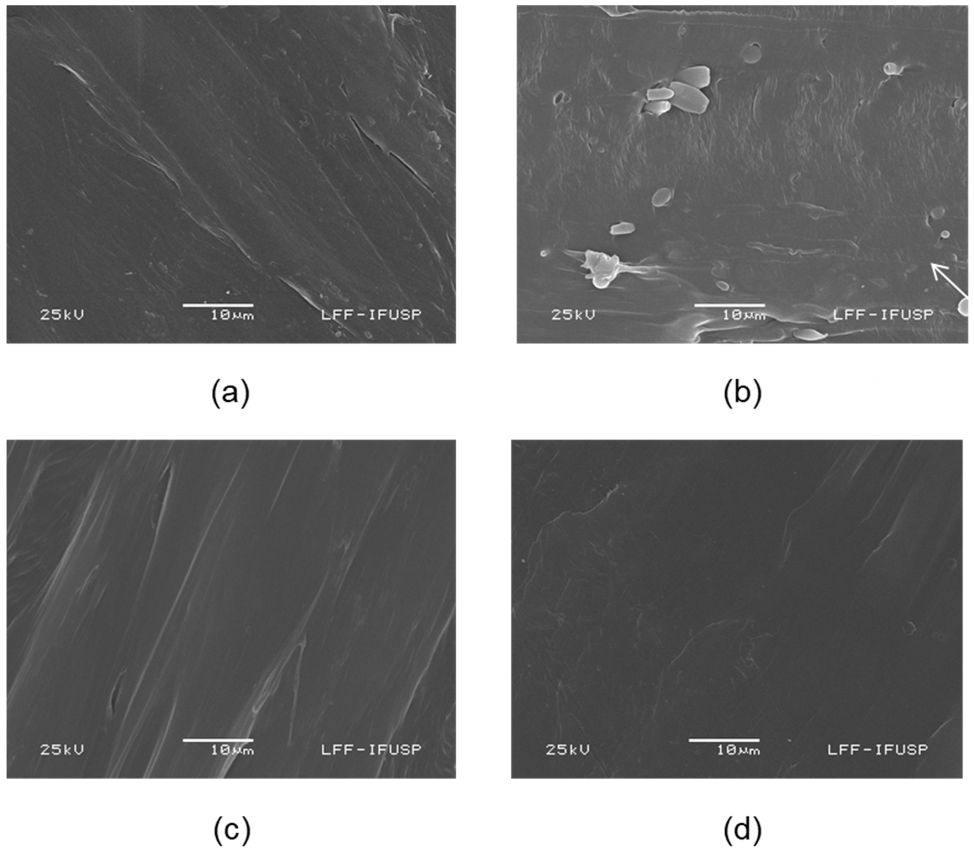 Polymers 14 00999 g005