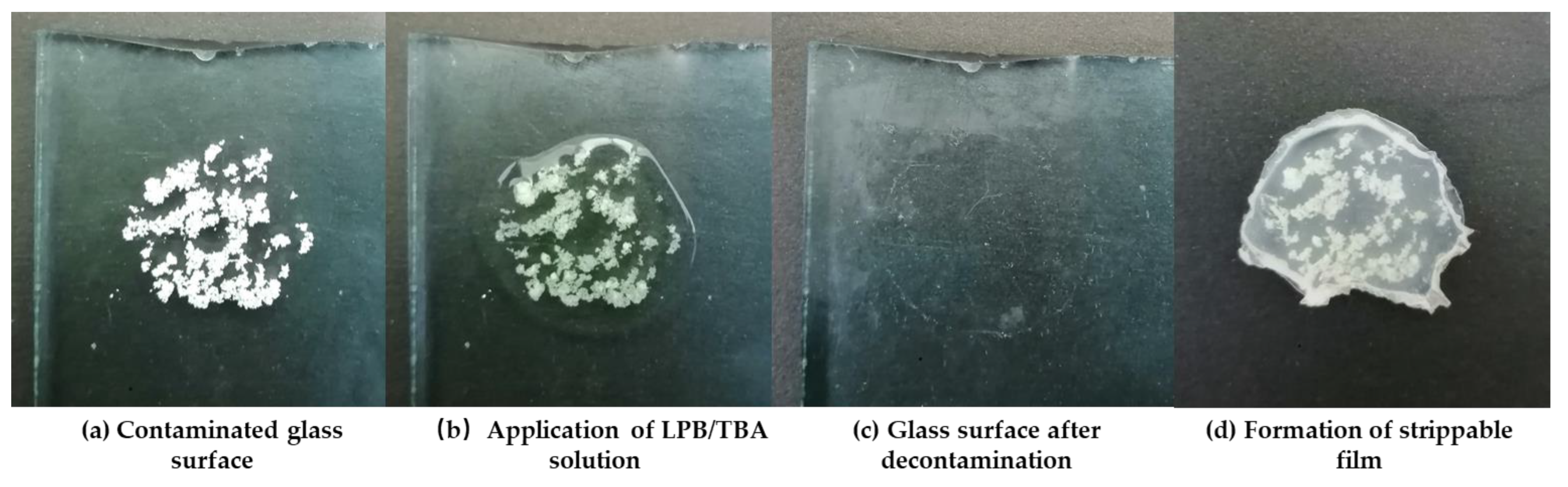 Polymers 14 01008 g009