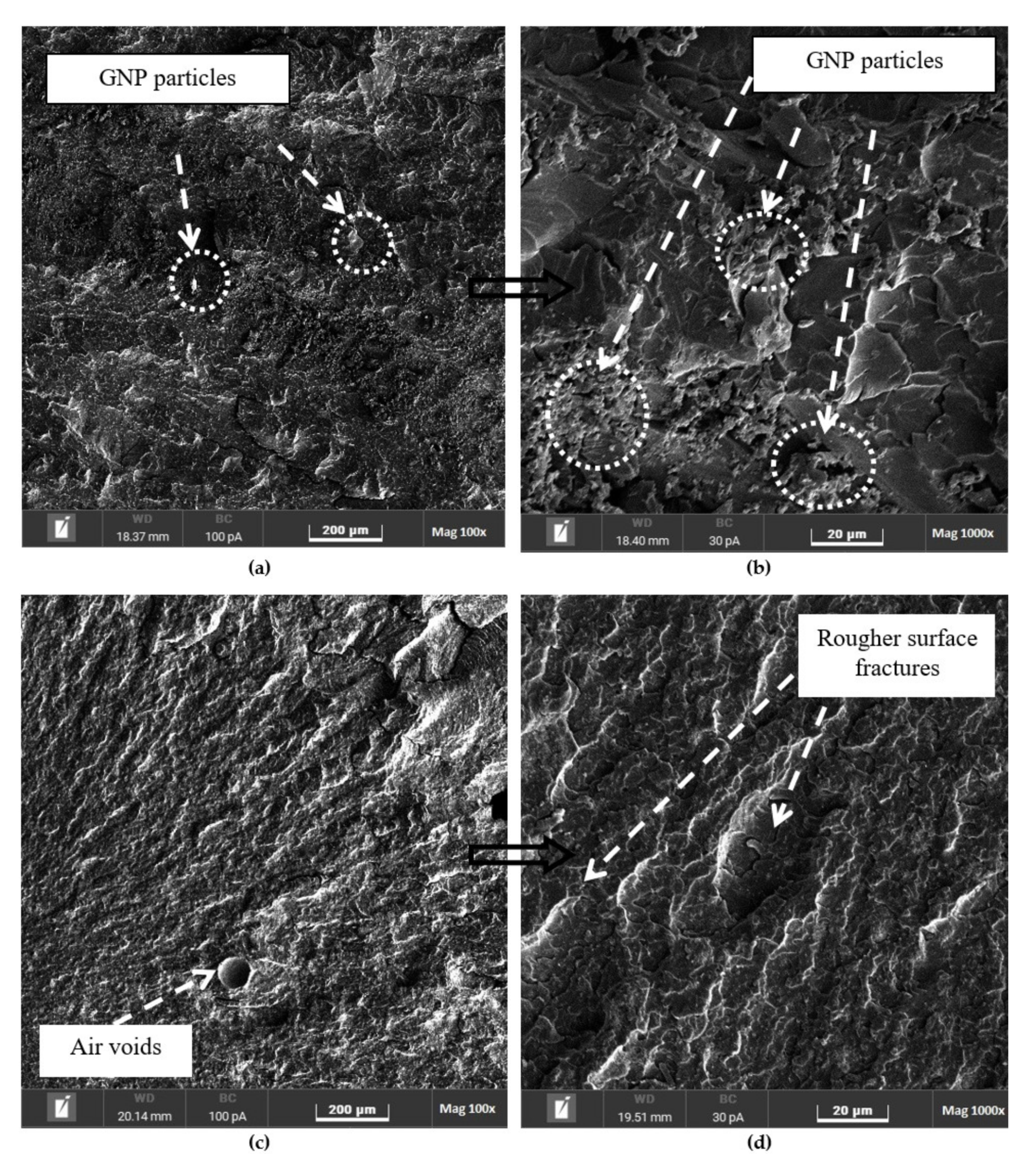 Polymers 14 01014 g011